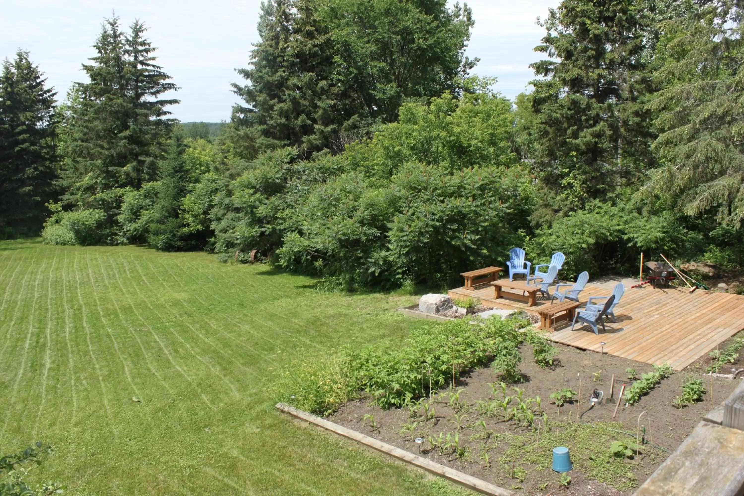 Natural landscape in La Grange Country Inn
