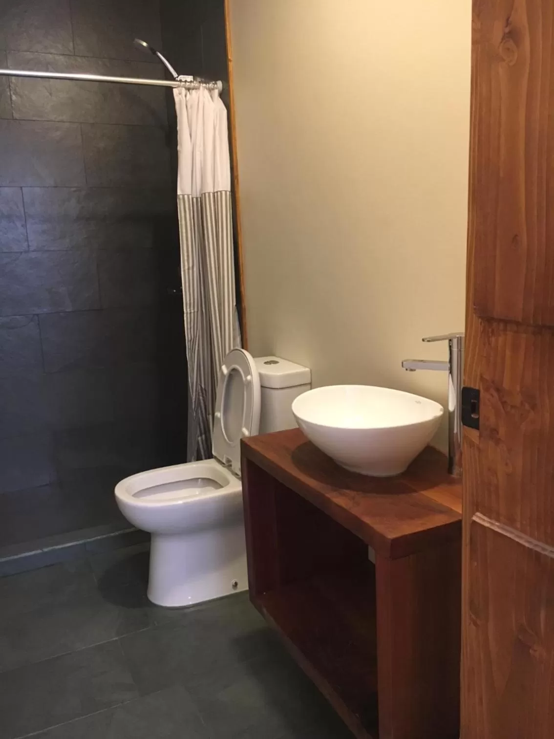 Toilet, Bathroom in Hotel 381 Panguipulli