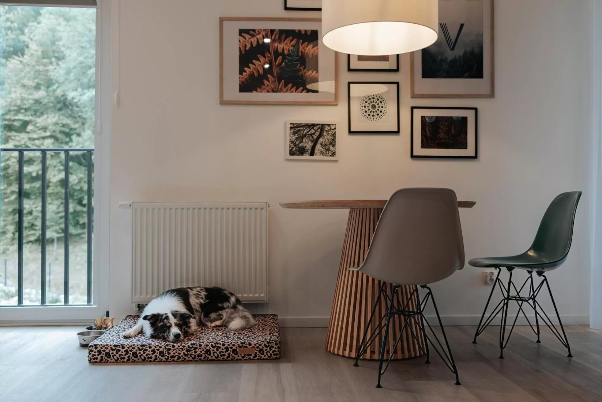 Pets in VISLOW Resort