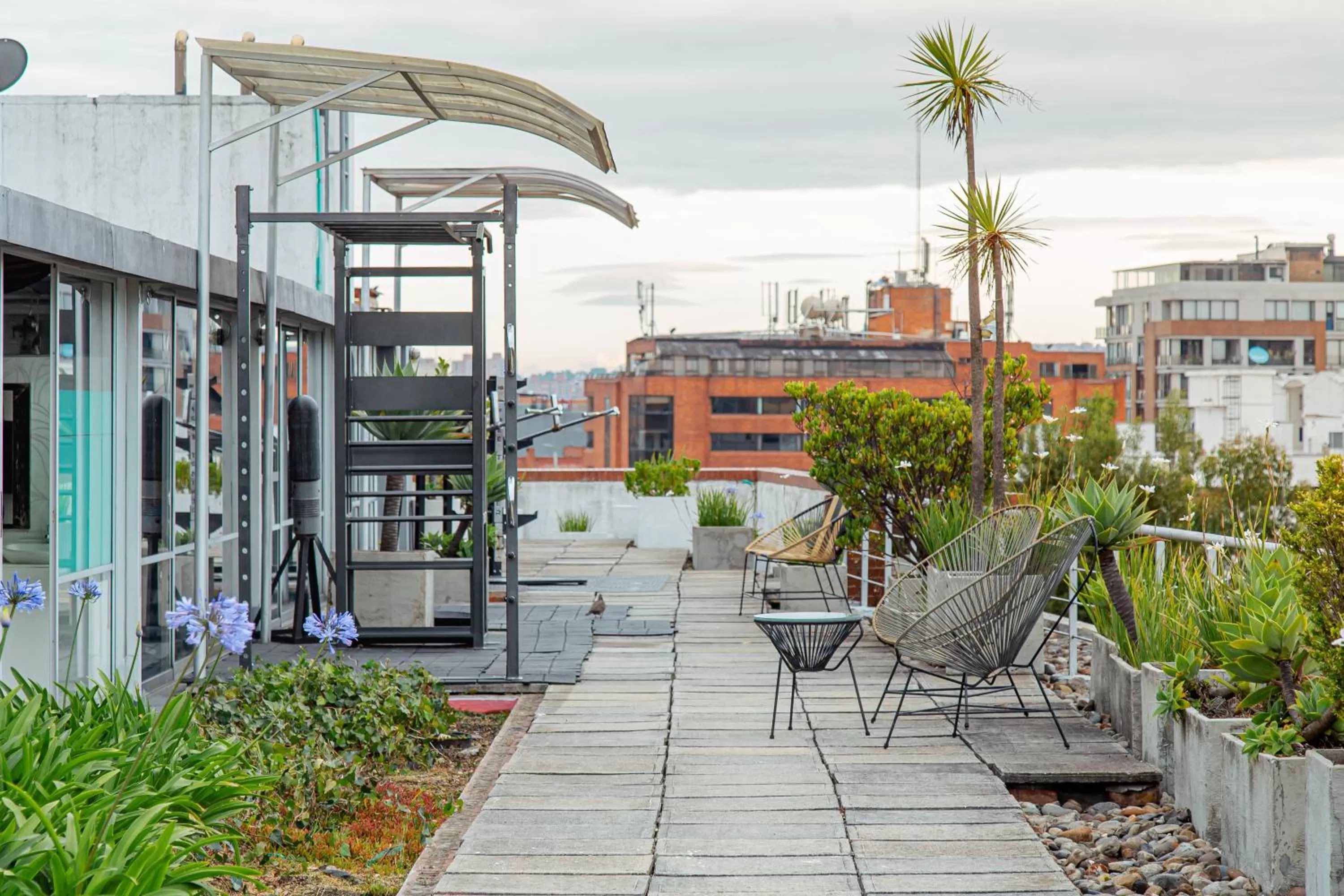 Garden in Faranda Collection Bogota, a member of Radisson Individuals