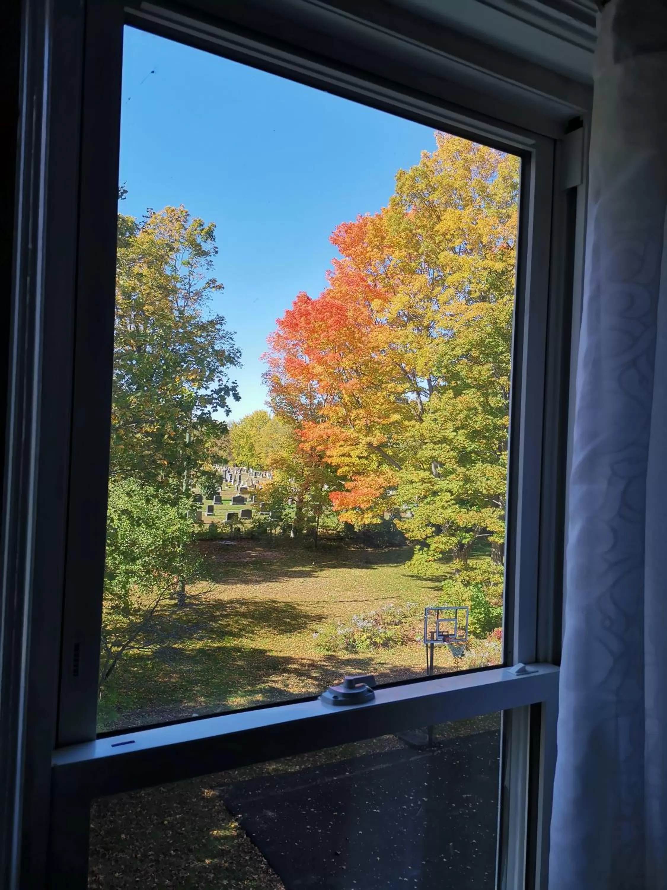 Garden view in By The River B&B
