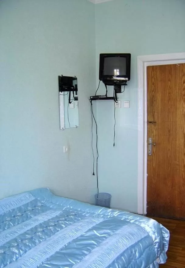 TV/Entertainment Center in Hotel Lilo near Airport