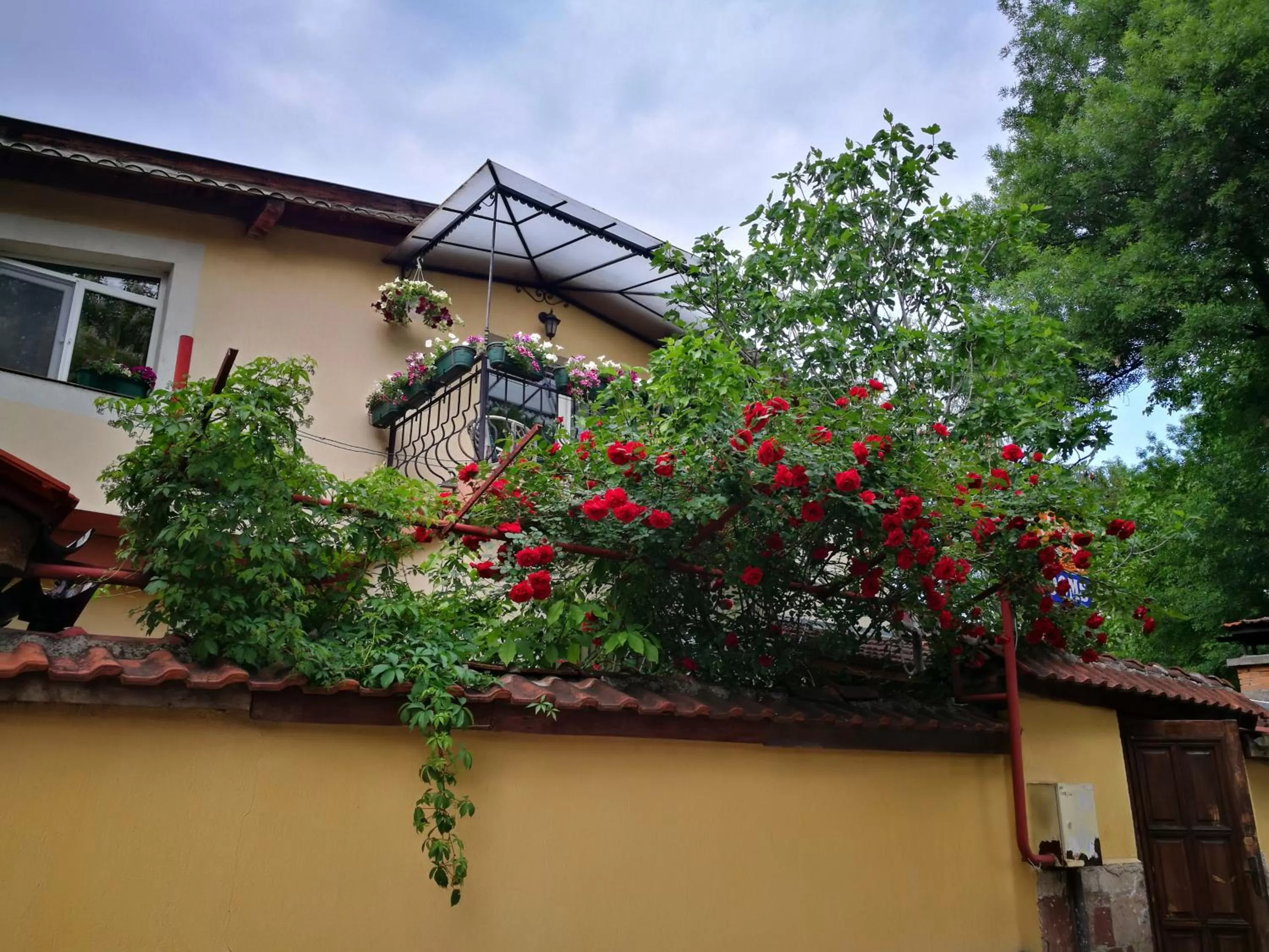 Property building in Hotel Paradise