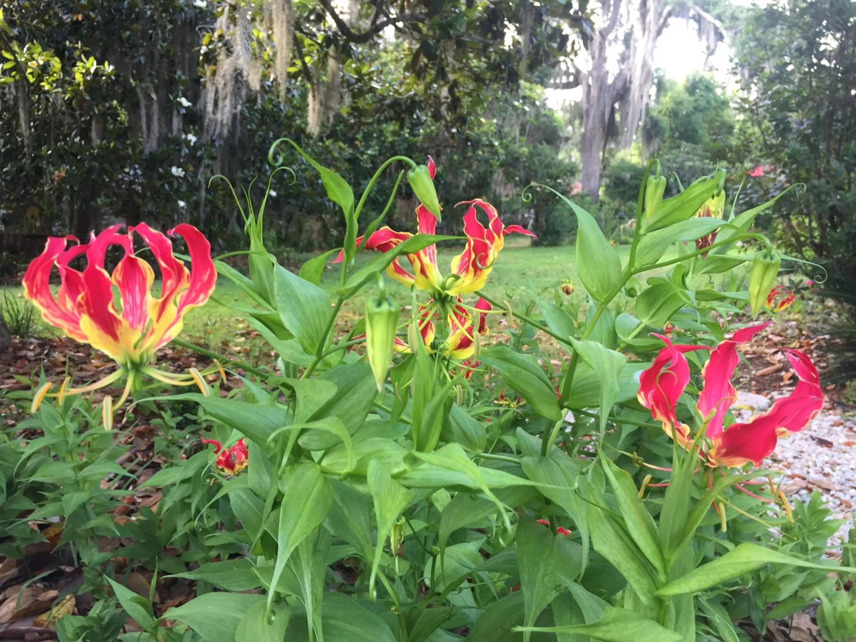 Property building in Open Gates Bed & Breakfast