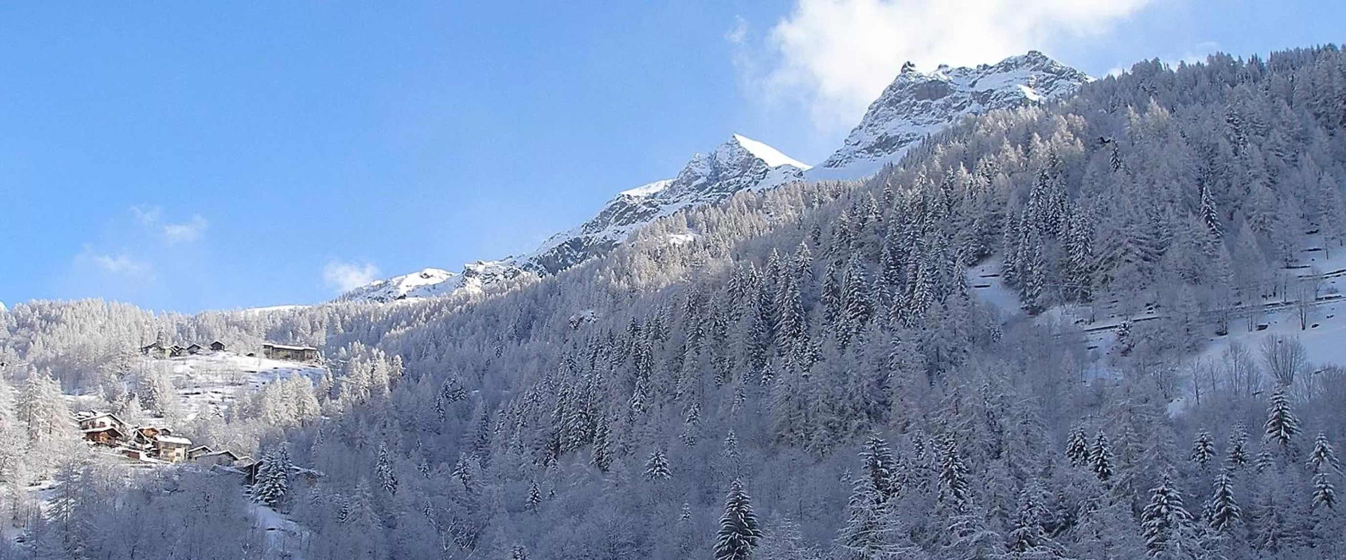 Natural landscape in Hotel Dama Bianca