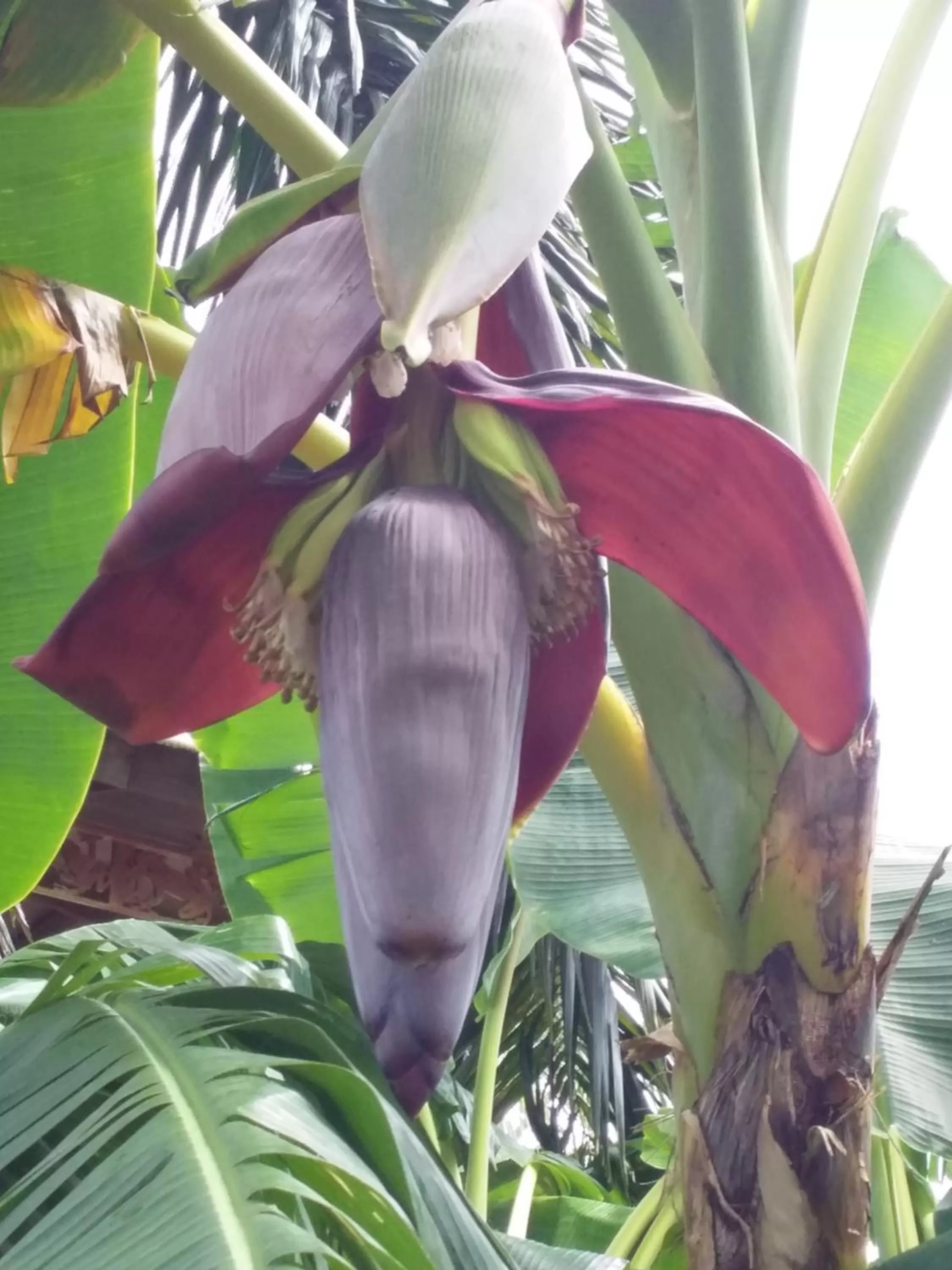 Garden, Other Animals in RIVA B&B