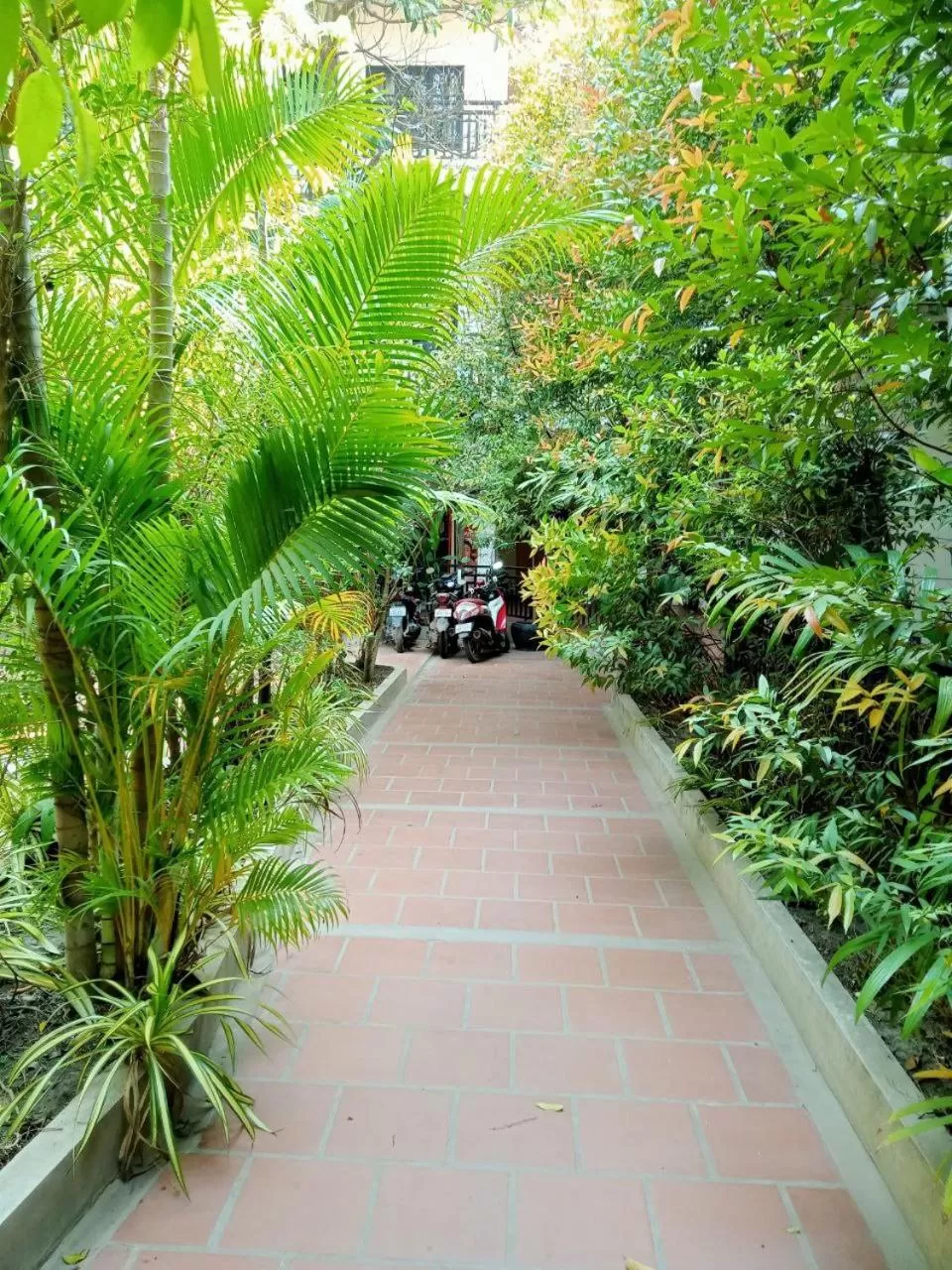 Garden in Angkor Tiger Resort