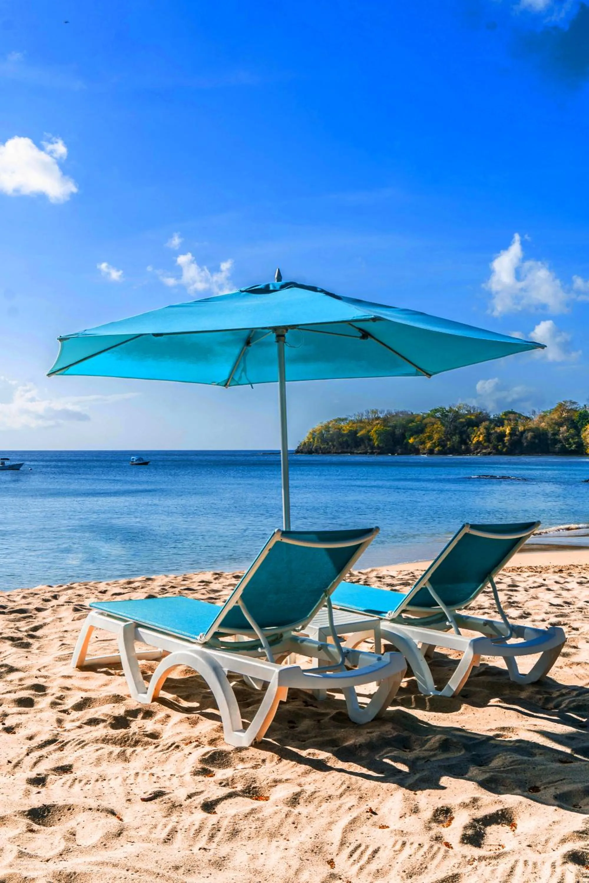 Beach in Mount Irvine Bay Resort