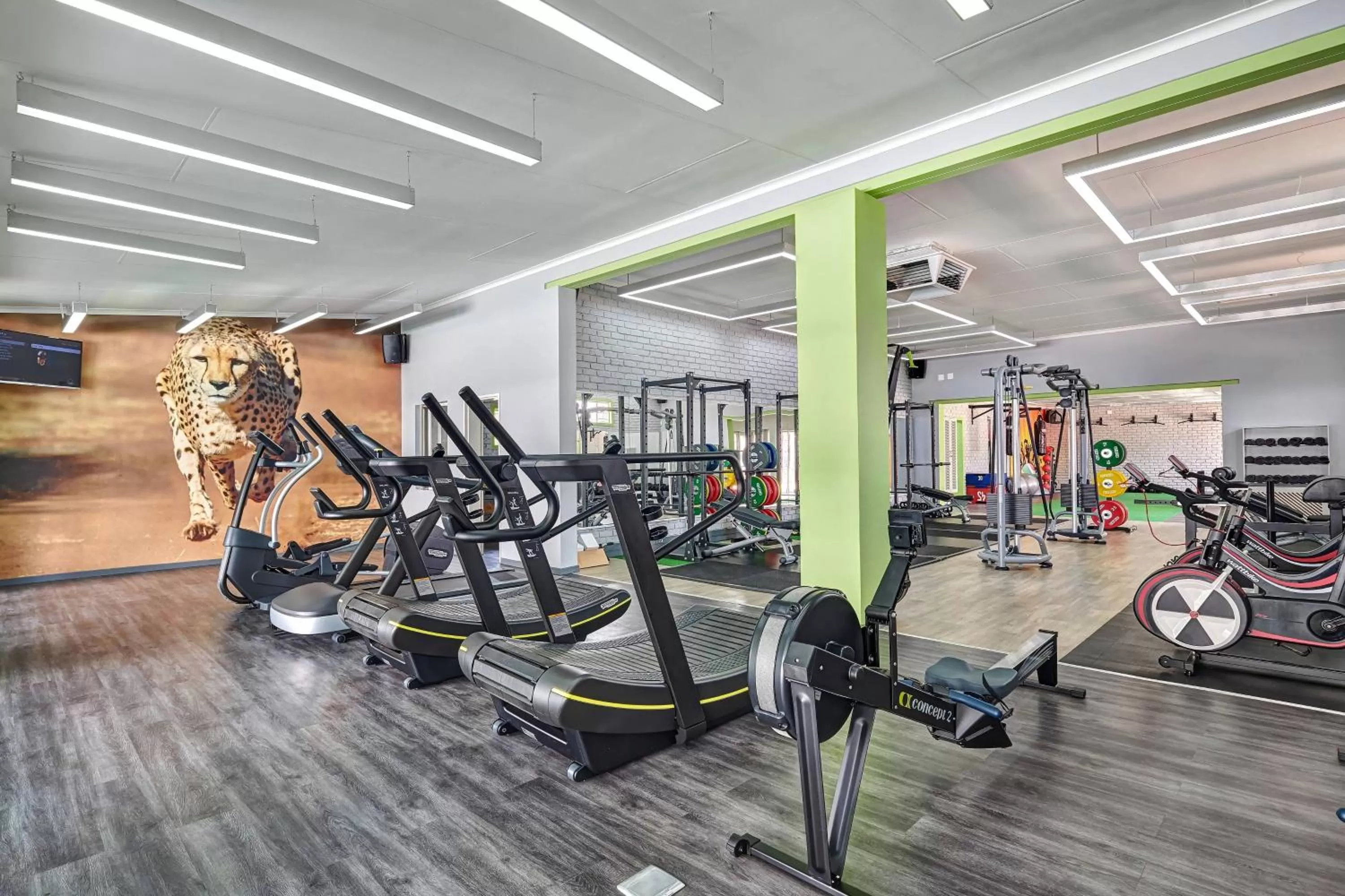 Fitness centre/facilities in Protea Hotel by Marriott Polokwane Ranch Resort