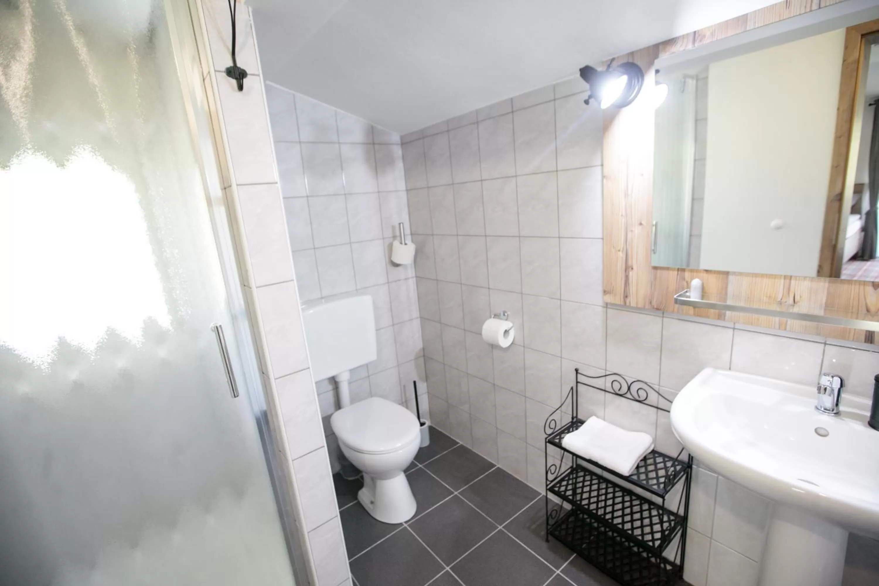 Shower, Bathroom in Hiša Poljana