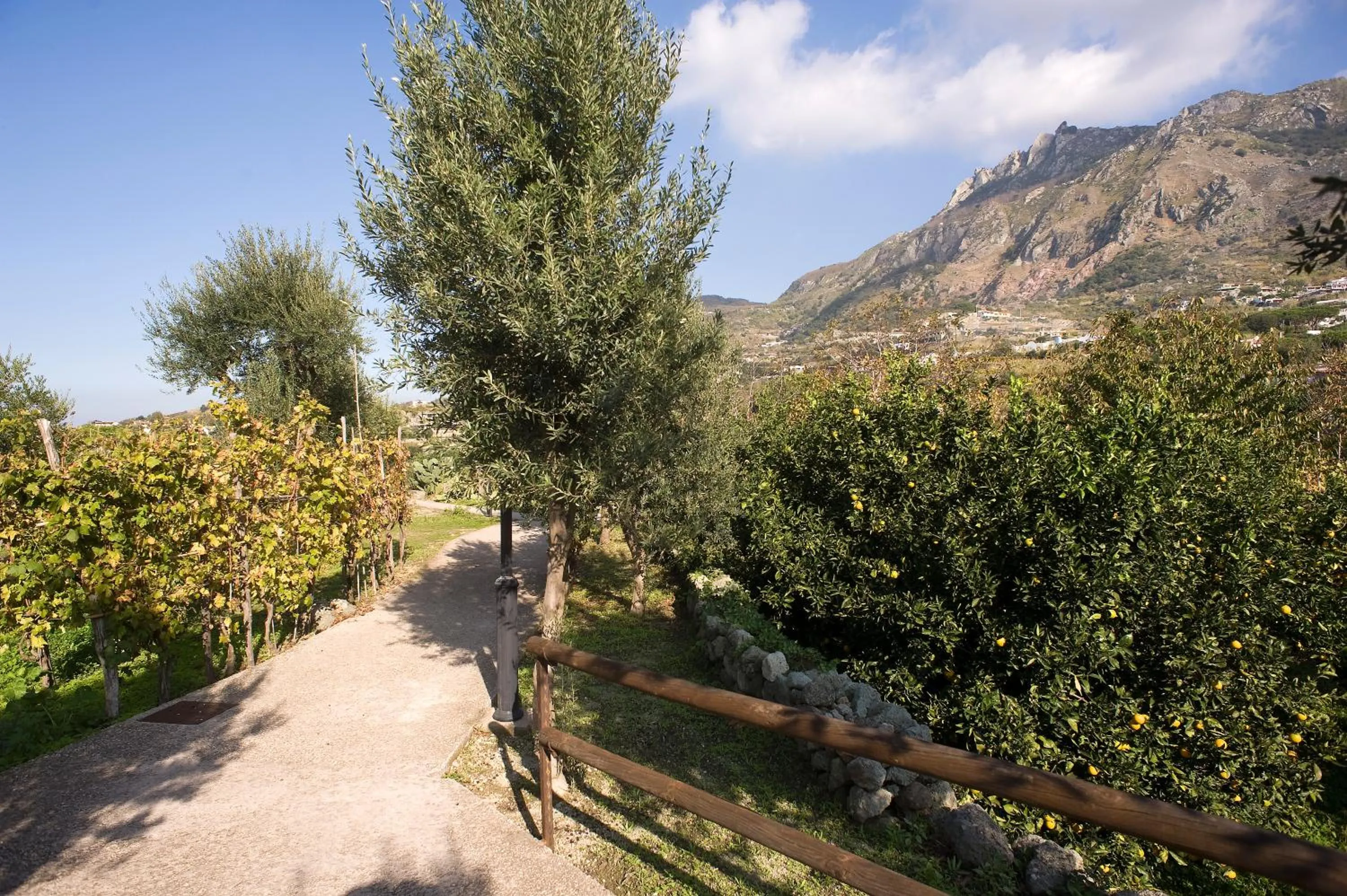Facade/entrance in Park Hotel Terme Mediterraneo
