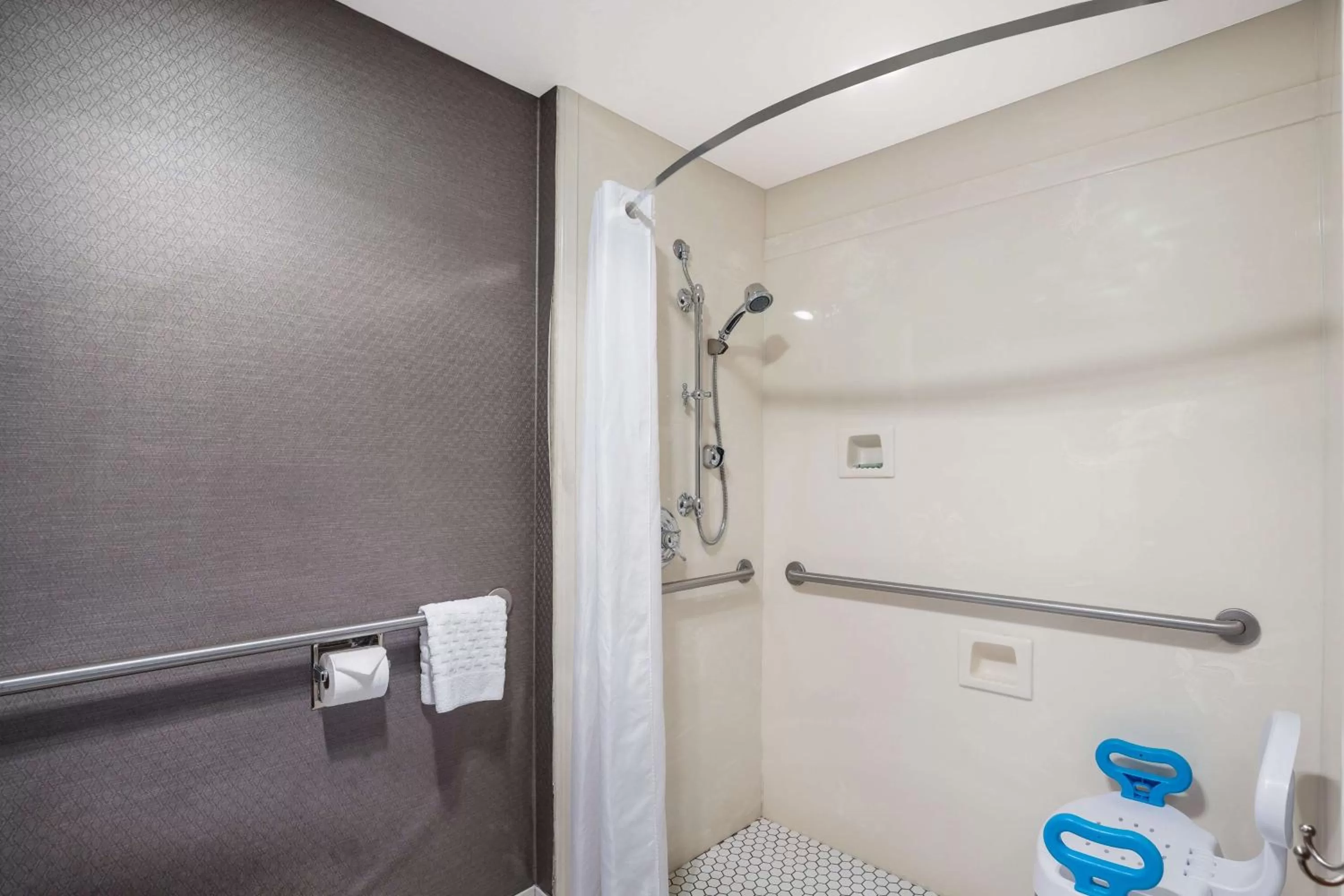 Bathroom in Best Western Windsor Inn