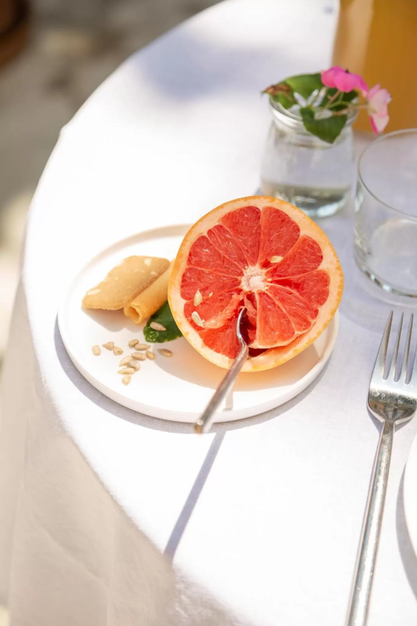 Can Moio Turismo de Interior