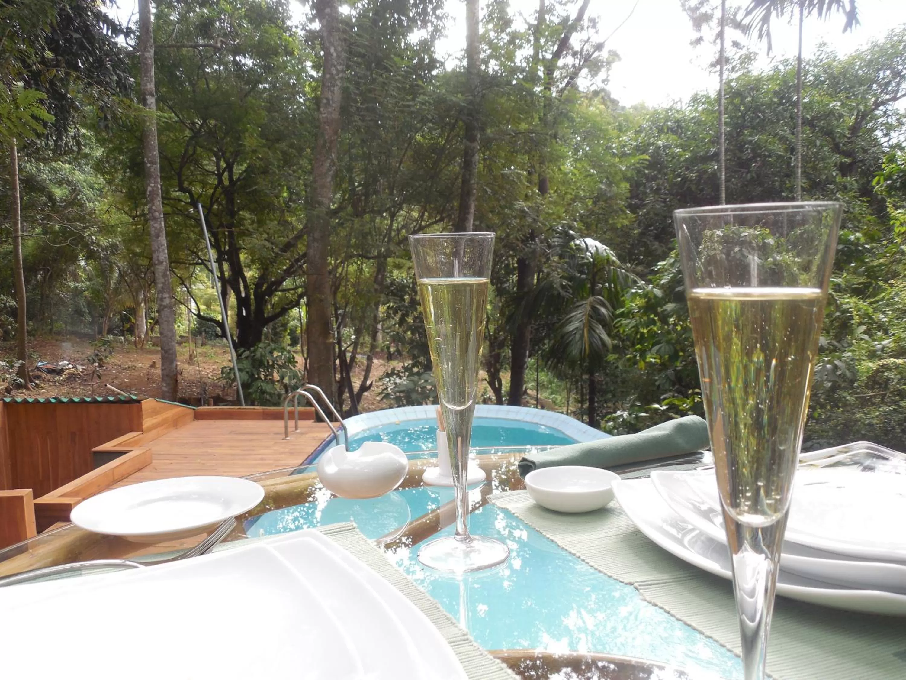 Restaurant/places to eat, Swimming Pool in Le leopard d 'argent