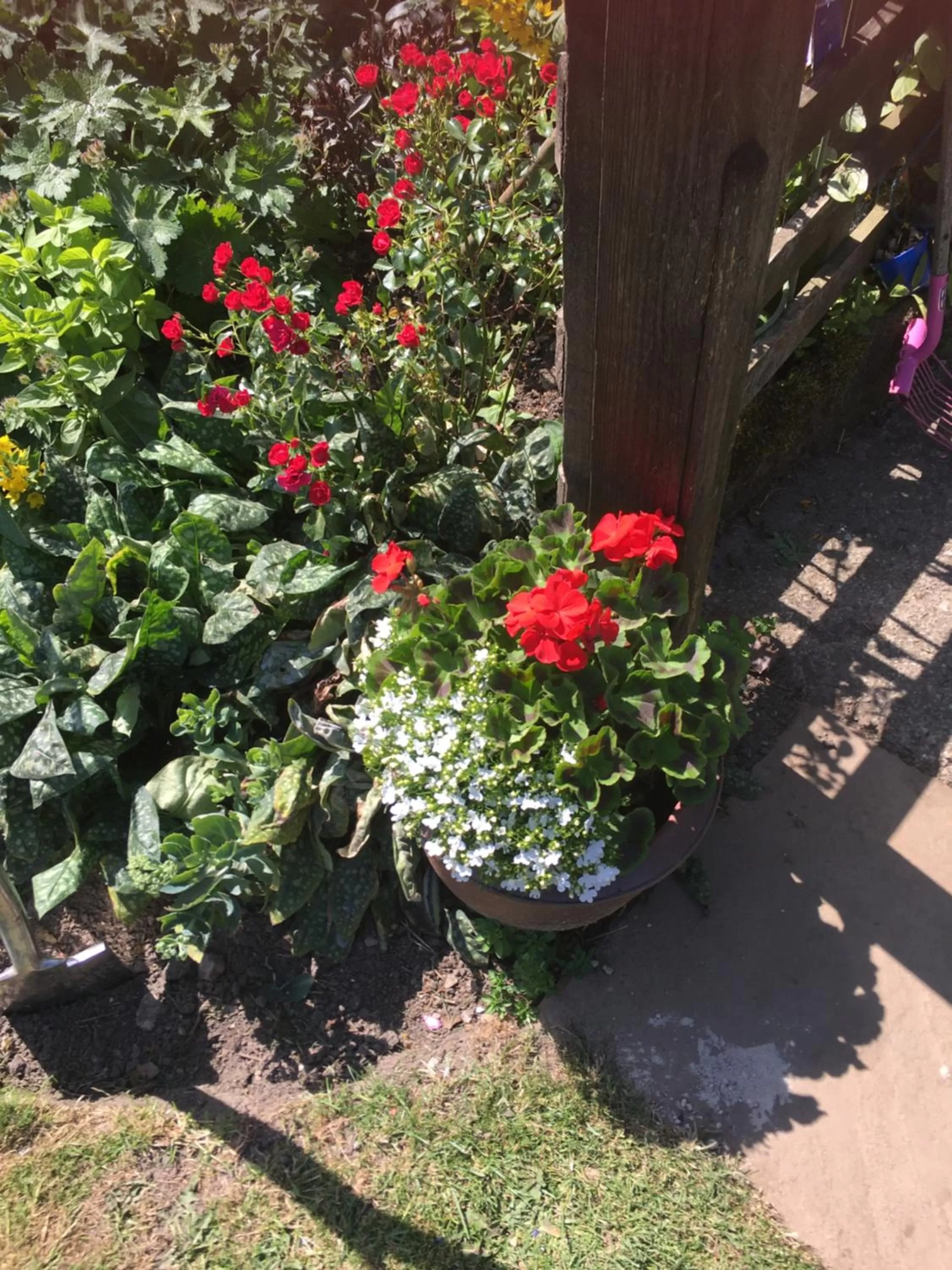 Garden in Oscar Park Farm
