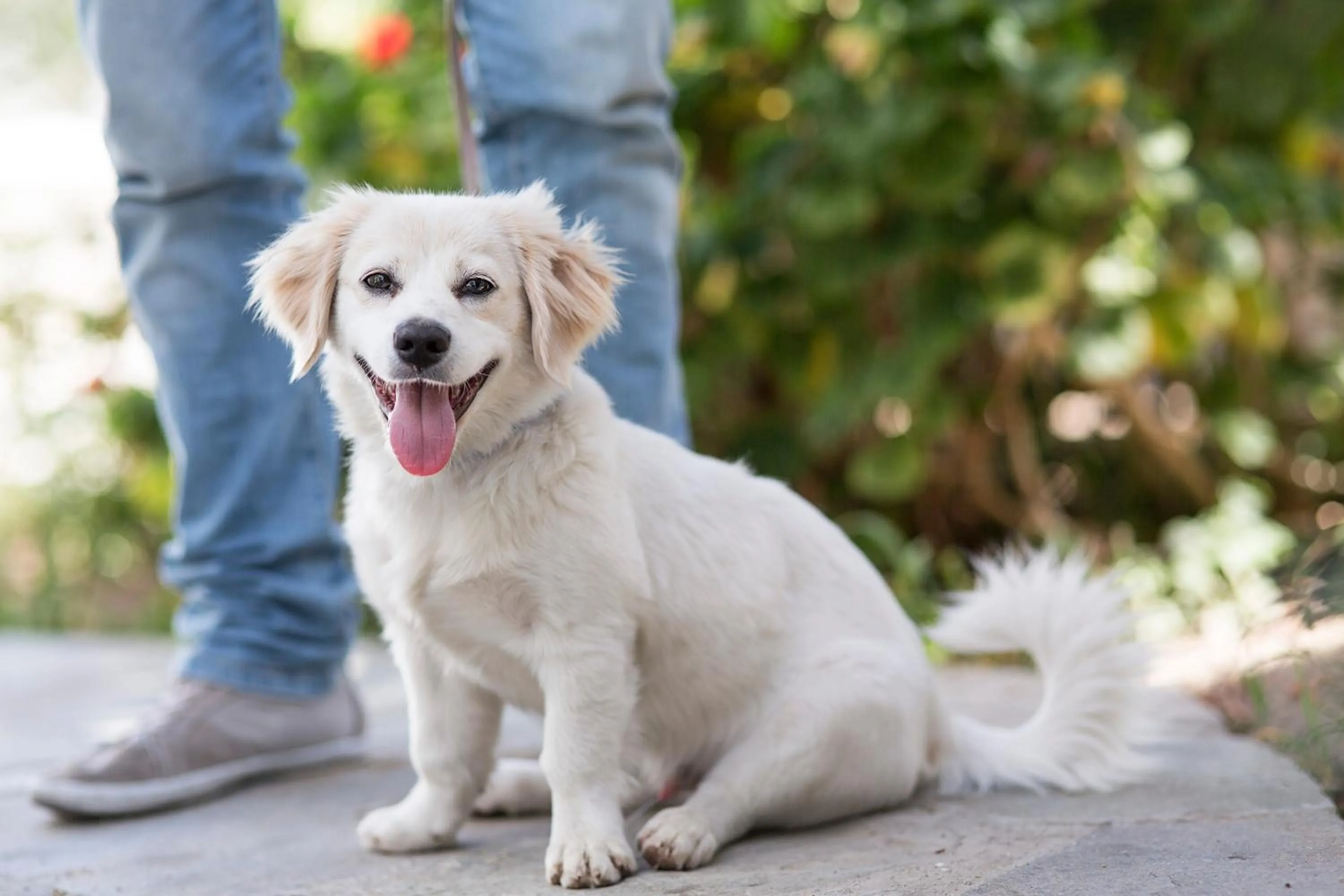 Property building in A Hotel Mykonos