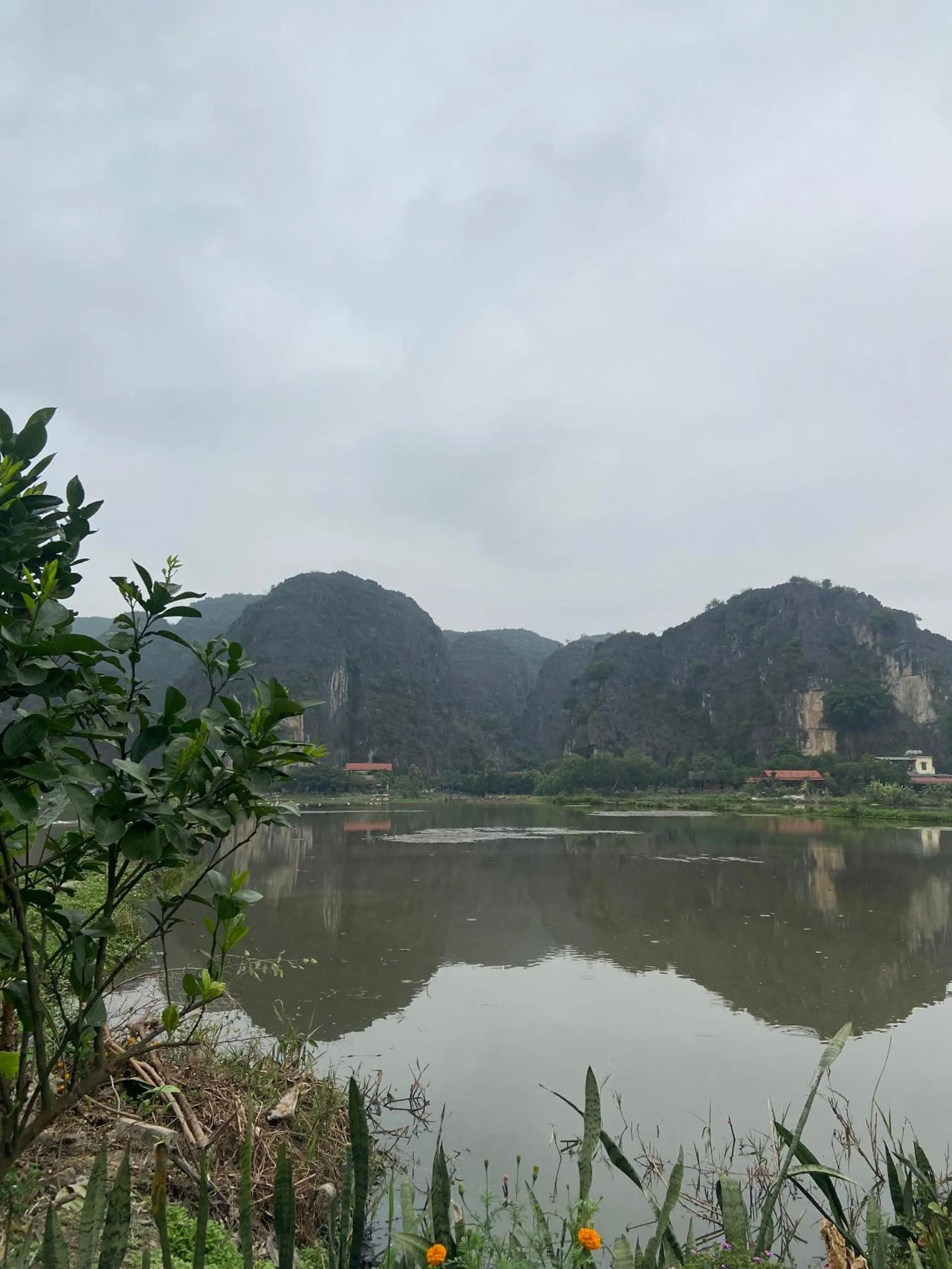 Tam Coc Mountain View Homestay