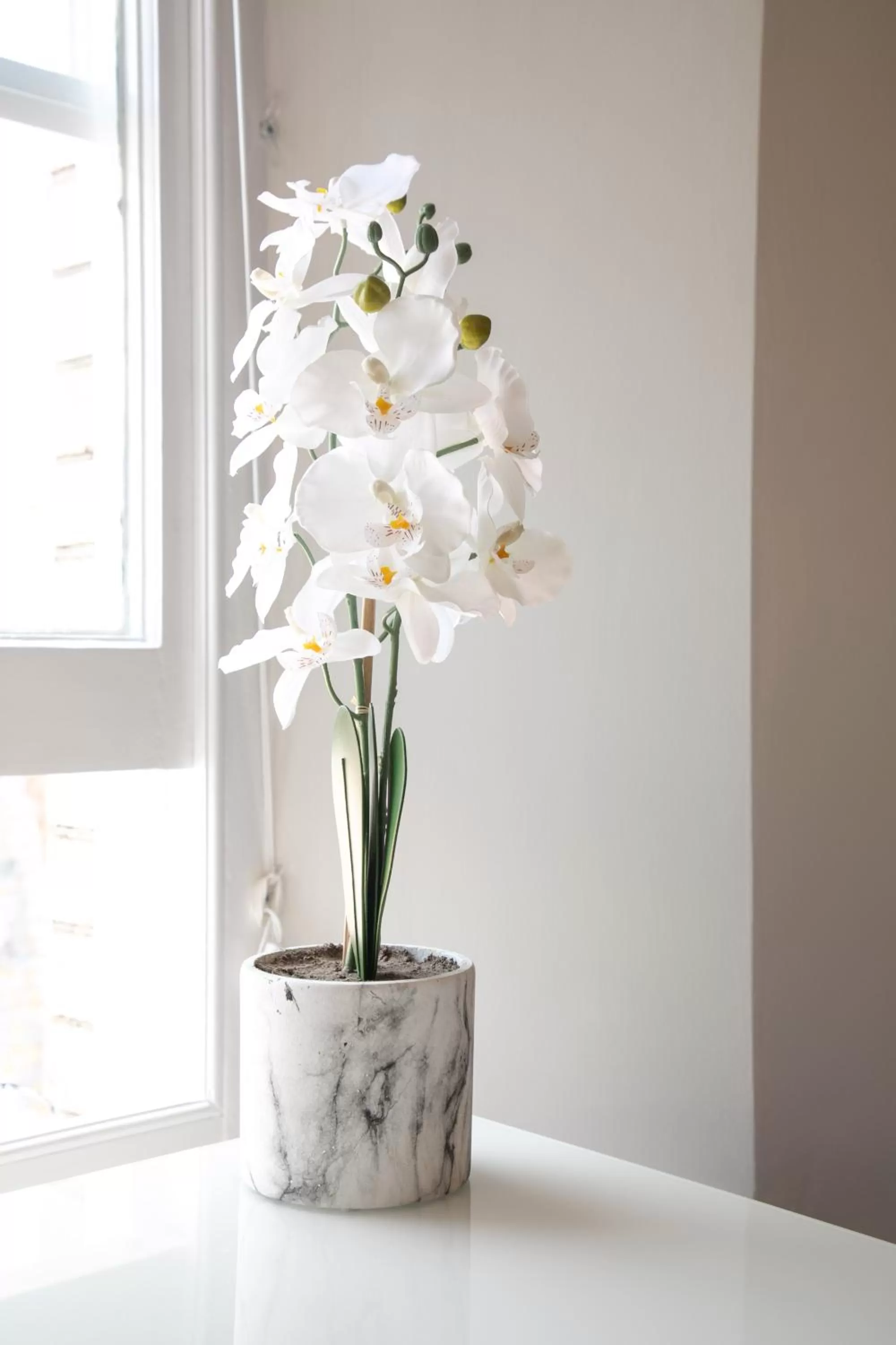 Decorative detail in Park View R & R - Adult Only - Self-Catering - Free Parking - EV Point