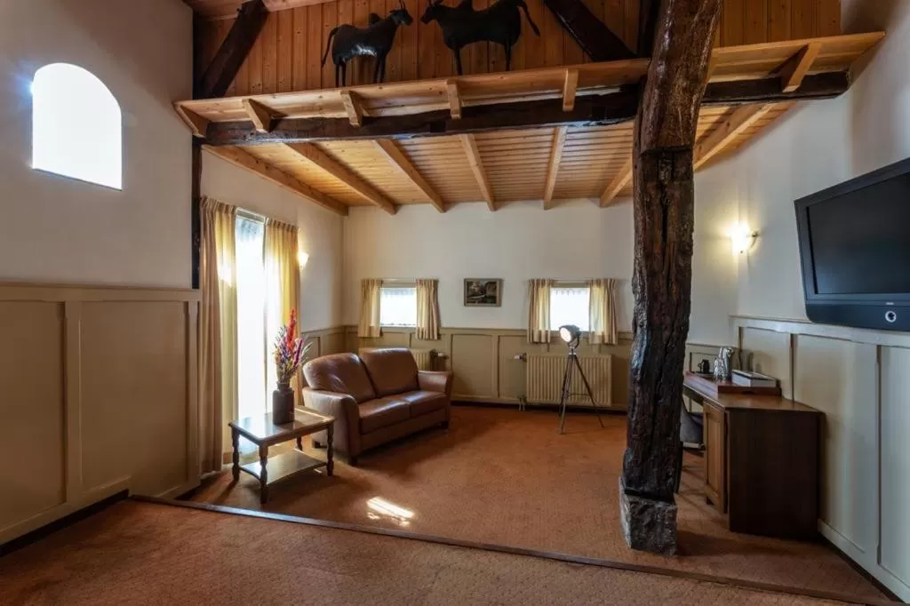 TV and multimedia in Hotel de Watermölle