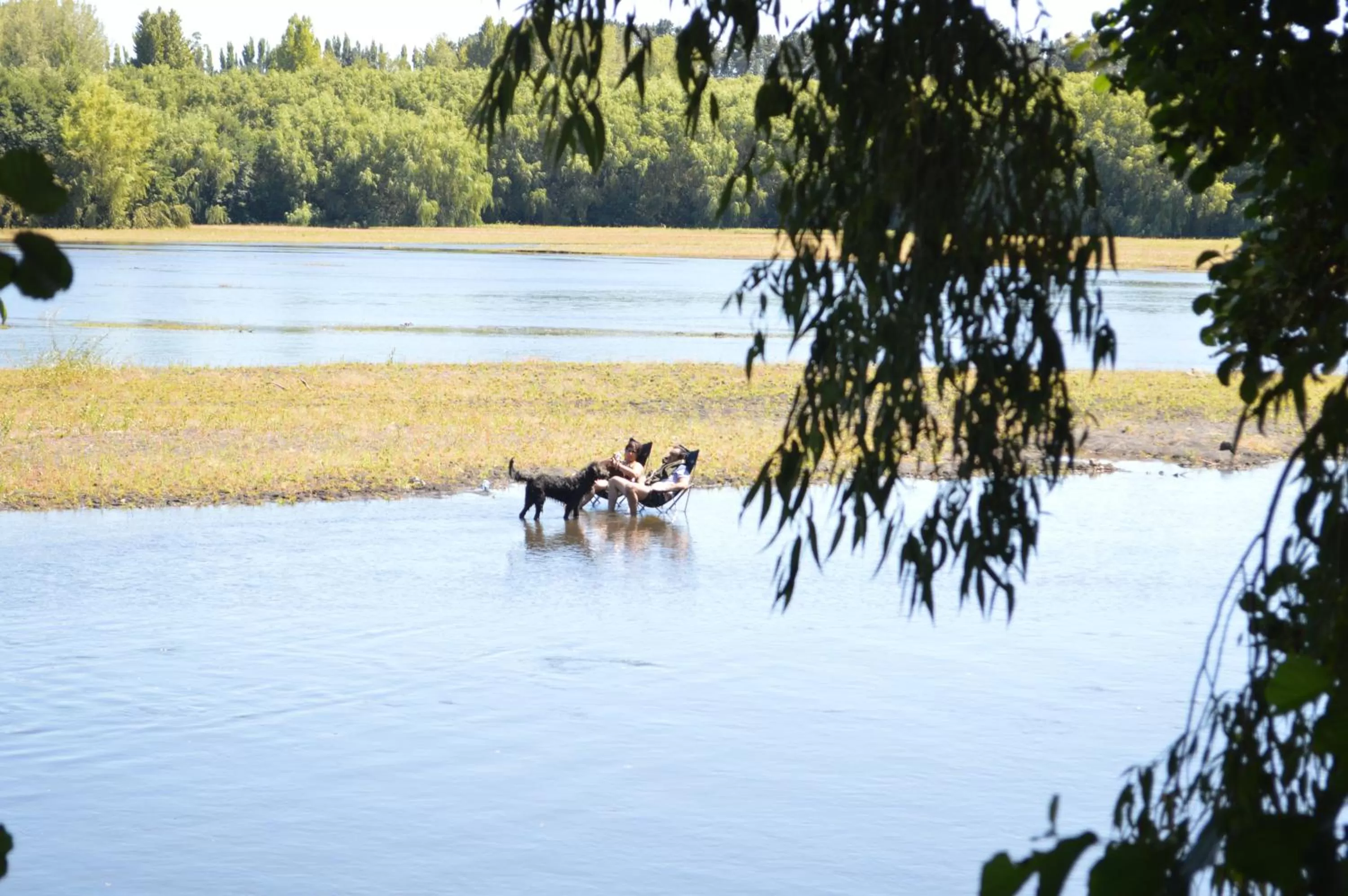 Coyunche Cabañas y Camping Laja & San Rosendo