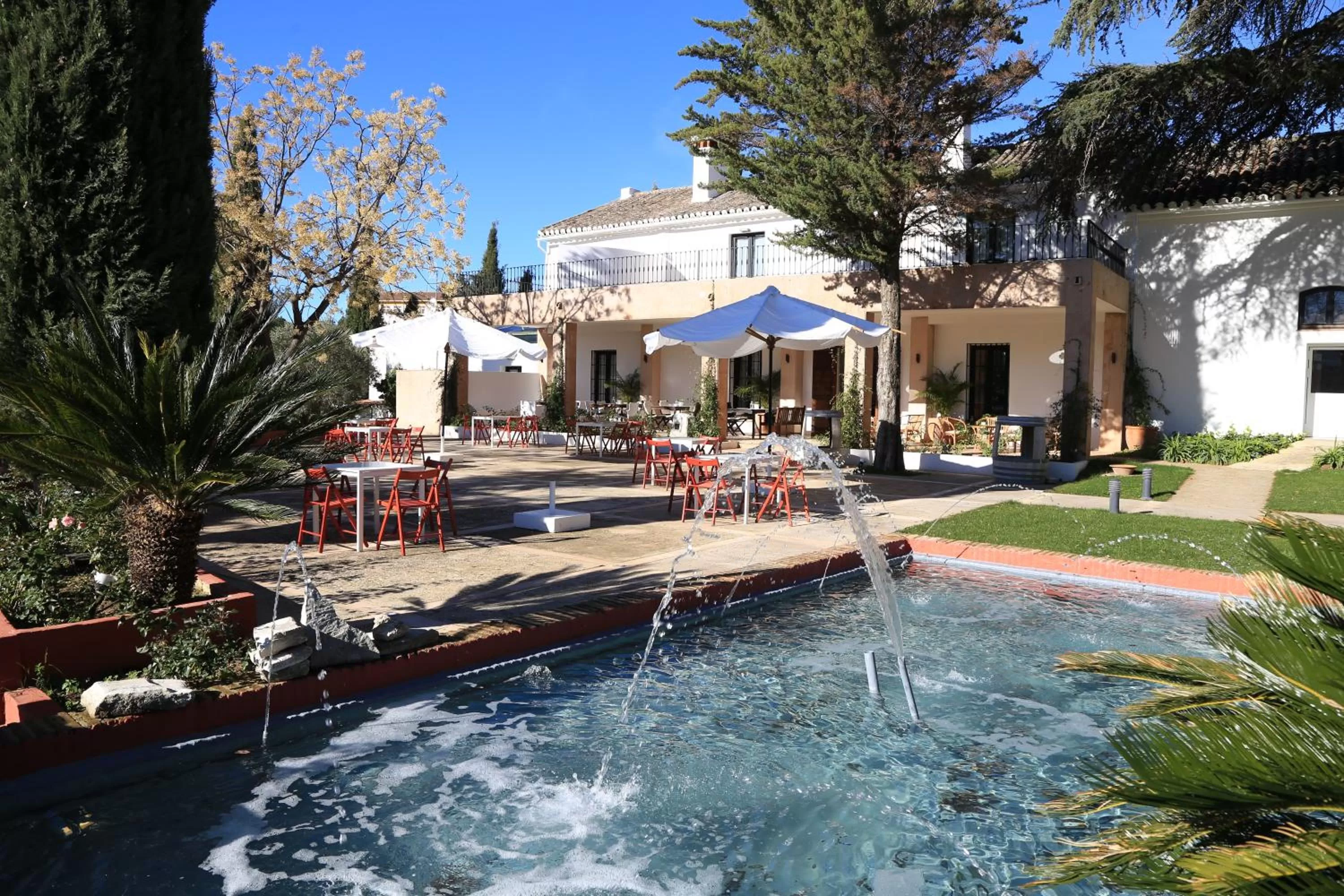 Off site, Swimming Pool in Hotel Bodega El Juncal