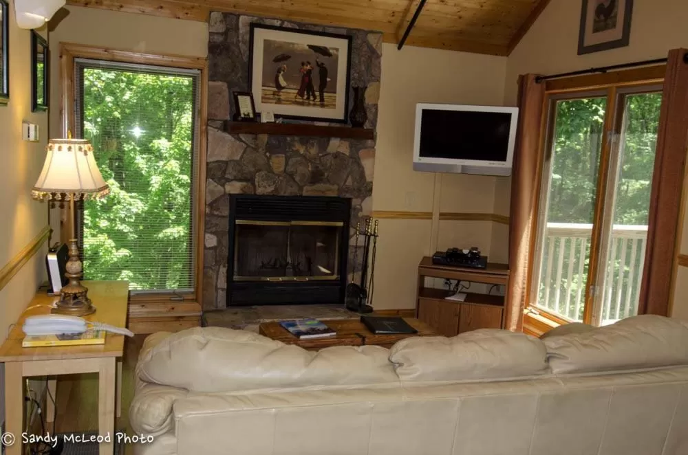 Living room in Asheville Cabins of Willow Winds
