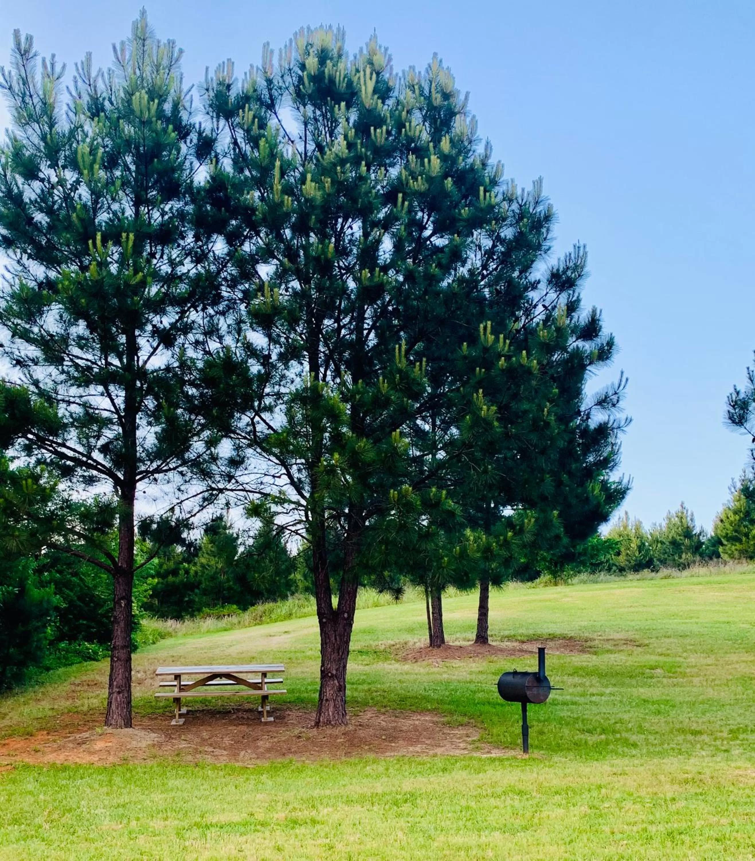 BBQ facilities in Weston Inn & Suites