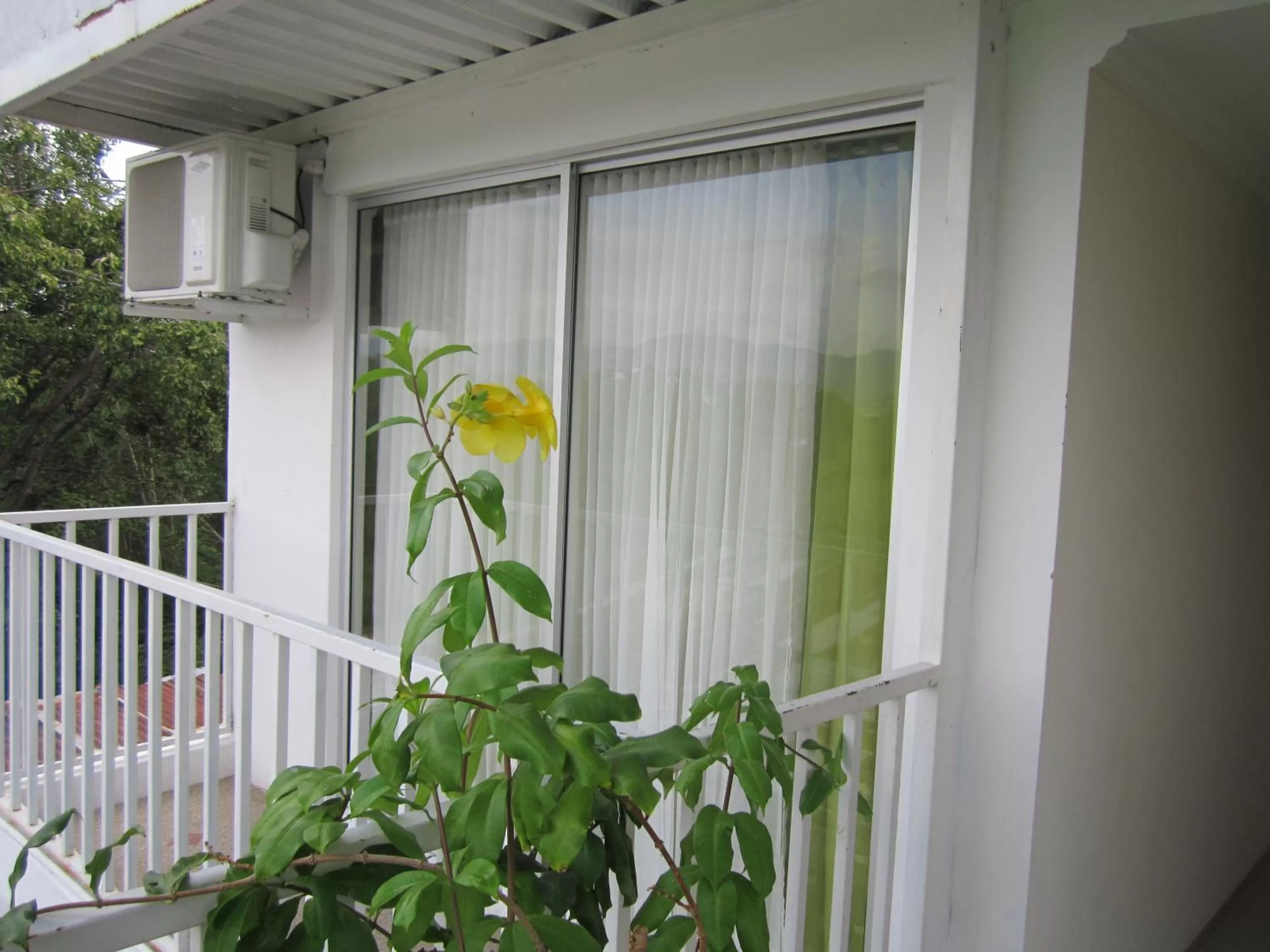 Mirador de San Jorge