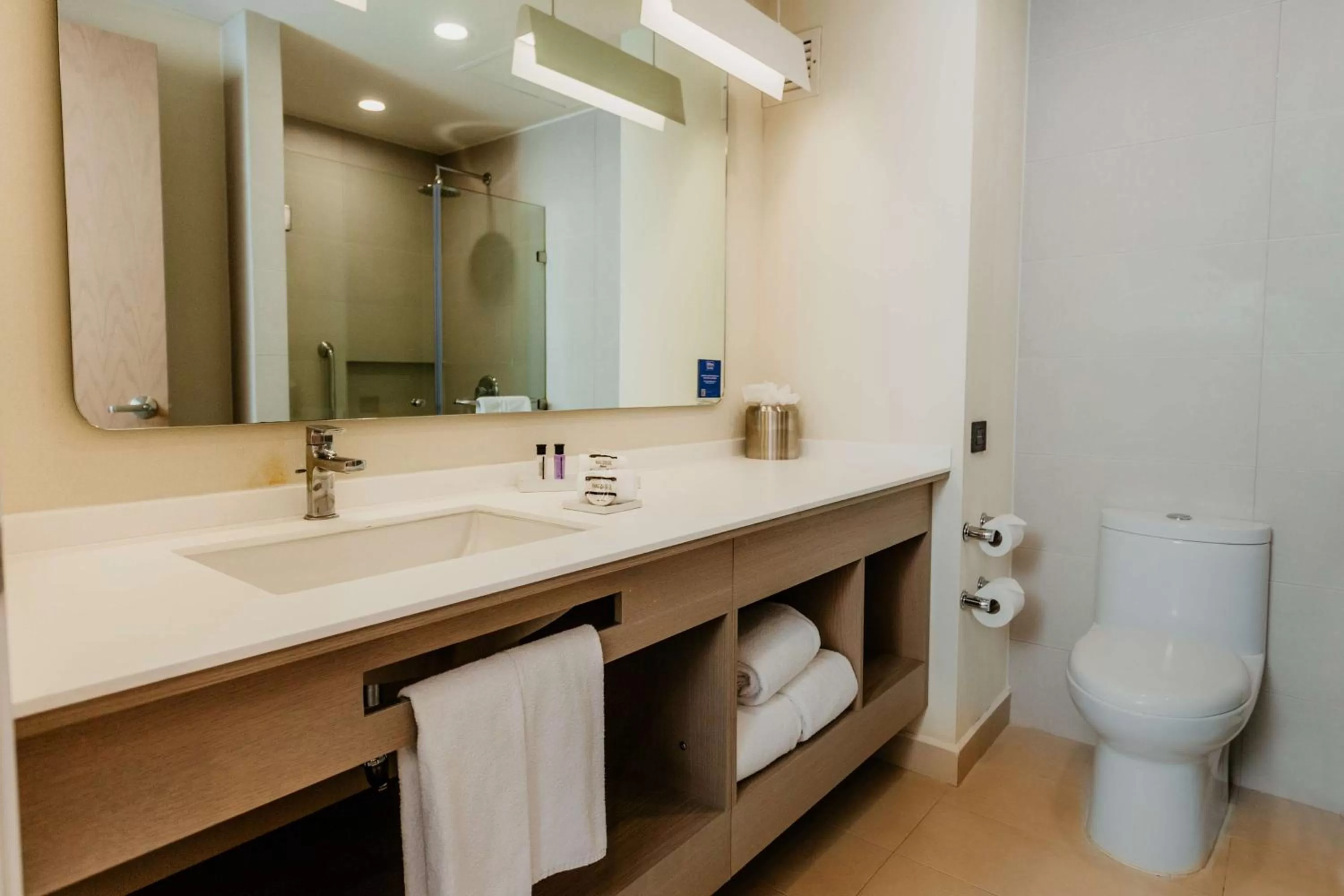 Bathroom in Hilton Garden Inn Silao Aeropuerto Bajio