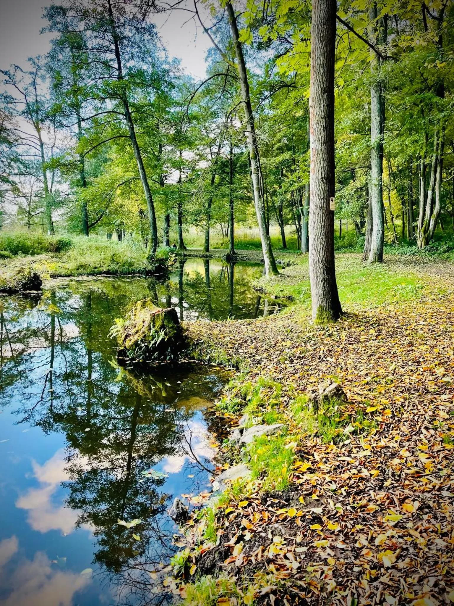 HARABURDI® Recyclart Hotel