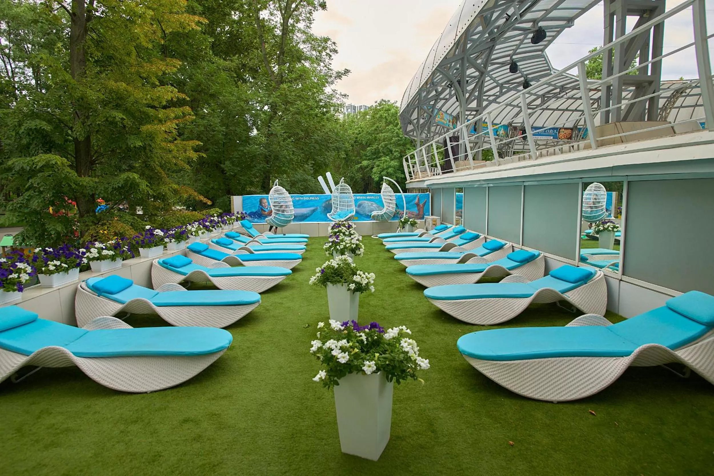 On site in Hotel & Spa NEMO with dolphins