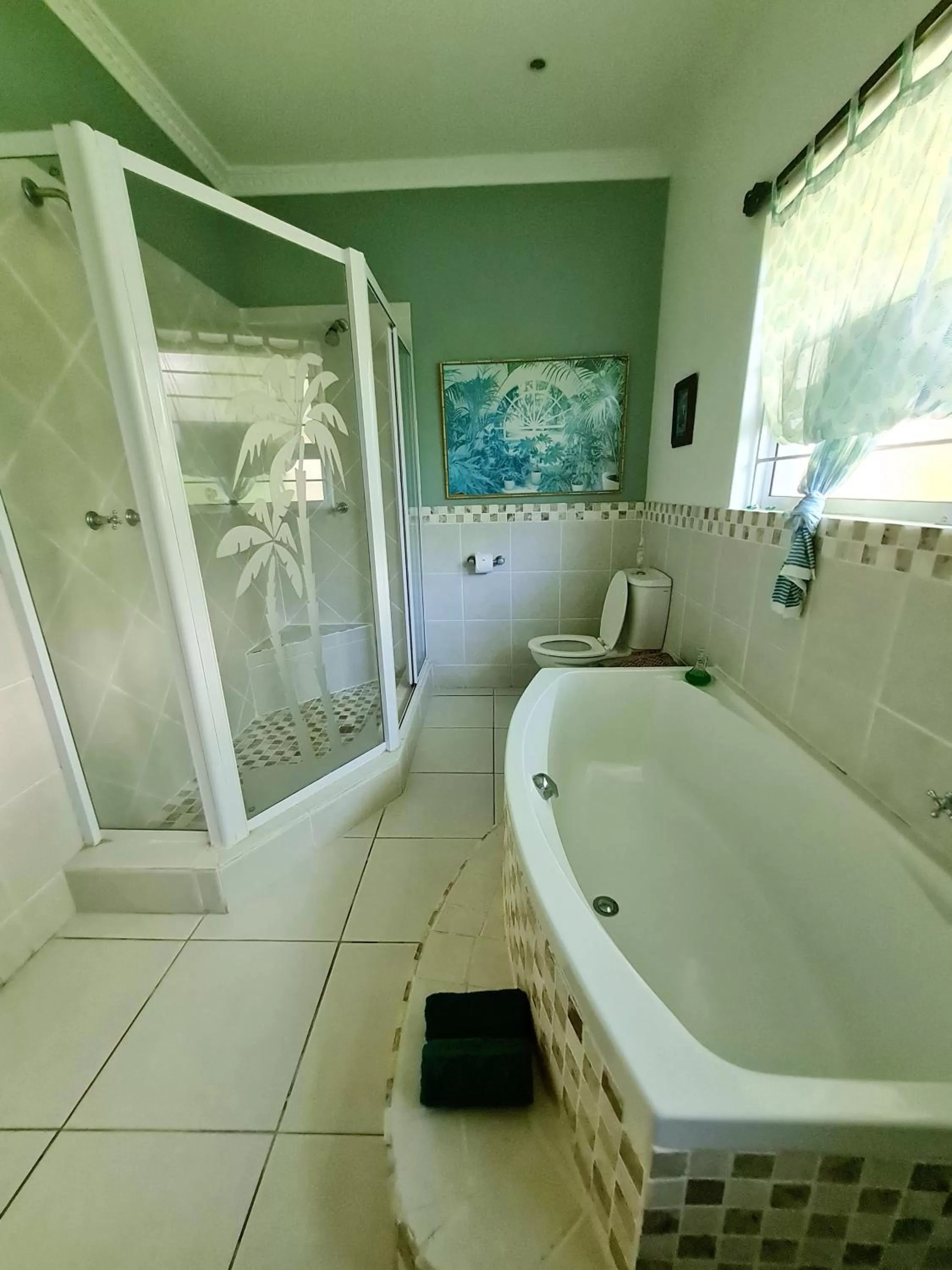 Shower, Bathroom in Shaka's Seat Guesthouse