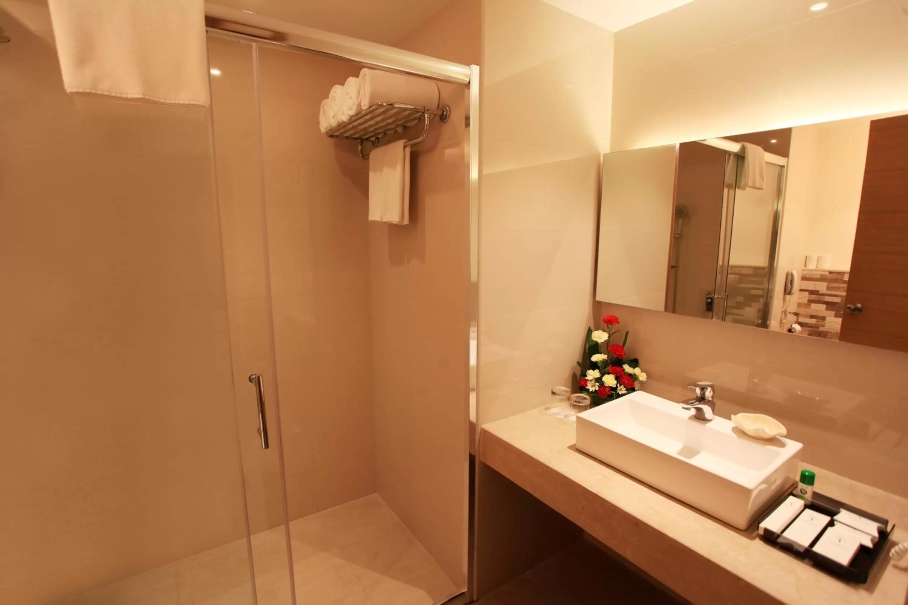 Bathroom in Greenpark Chennai