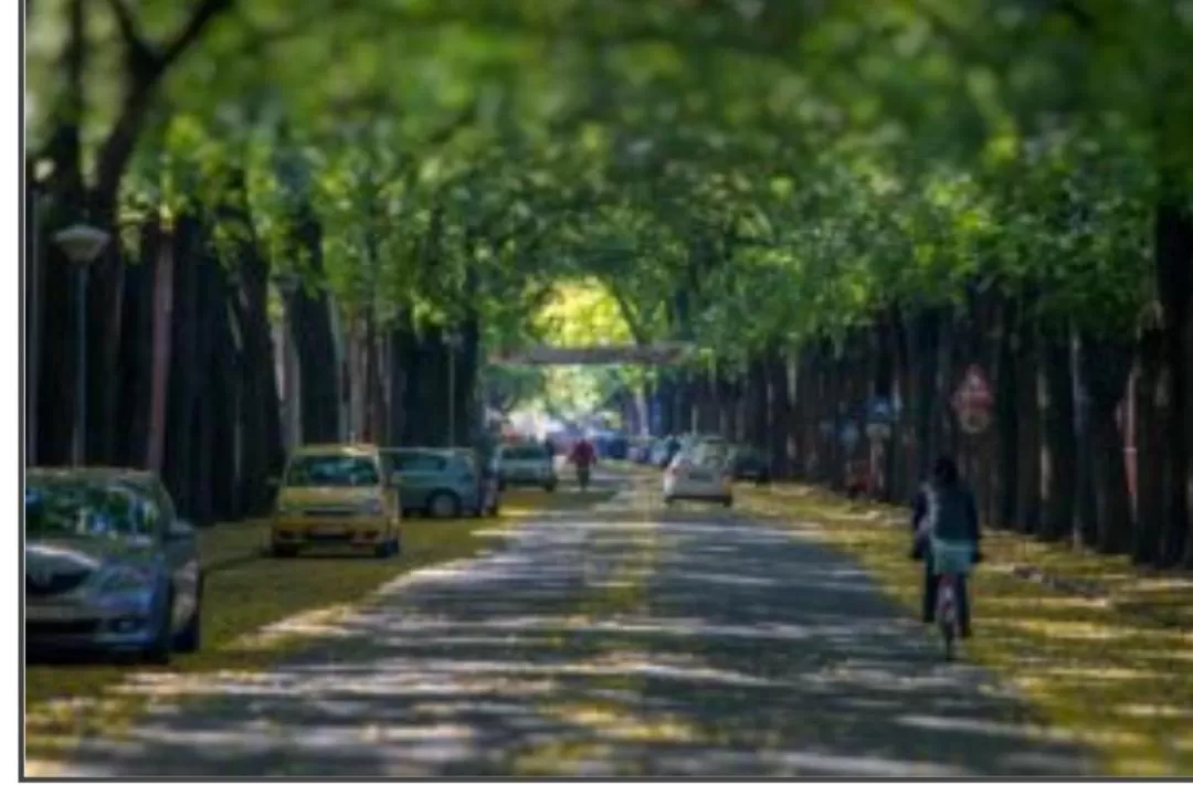 Bed&Breakfast INTERMEZZO CAFFE