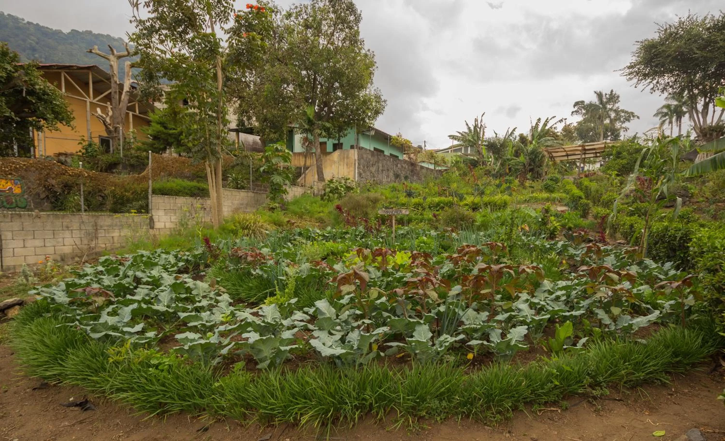 Garden in Hotel Toliman