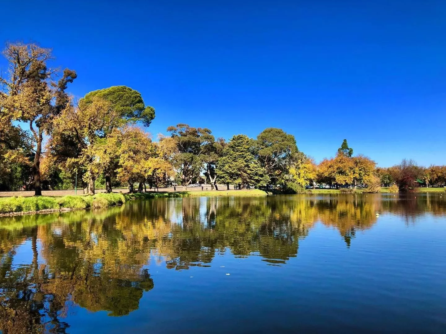 Neighbourhood in Julie-Anna, Bendigo