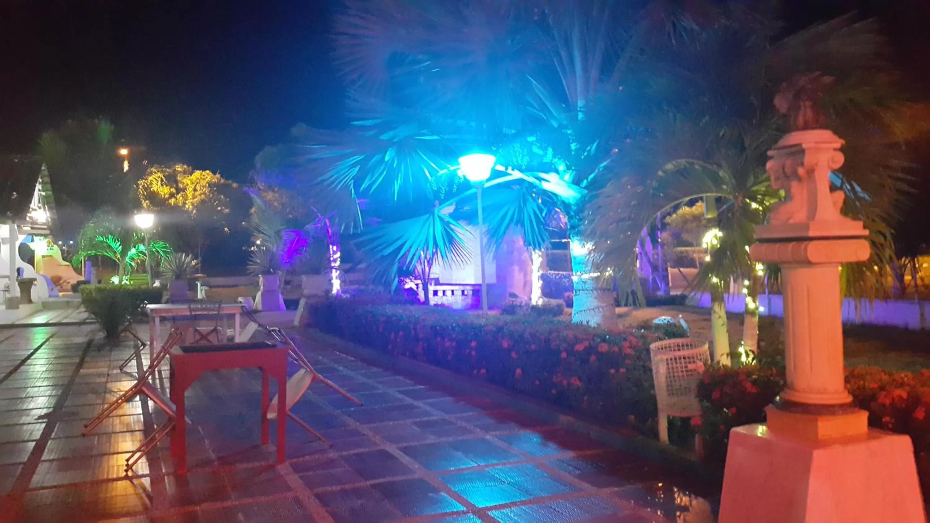 Patio, Evening Entertainment in Eco-Hotel Villa Elina