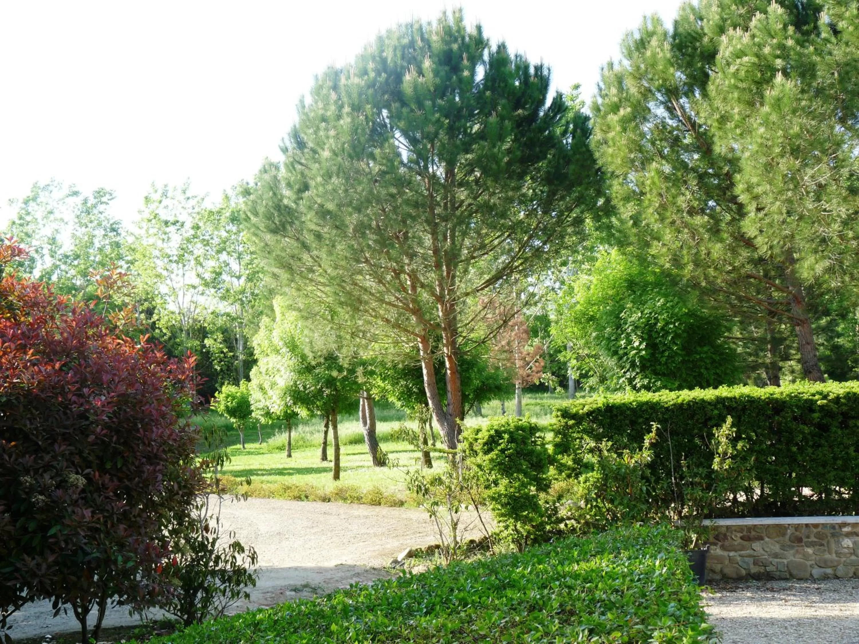 Garden in Viesca Toscana Suites & Villas