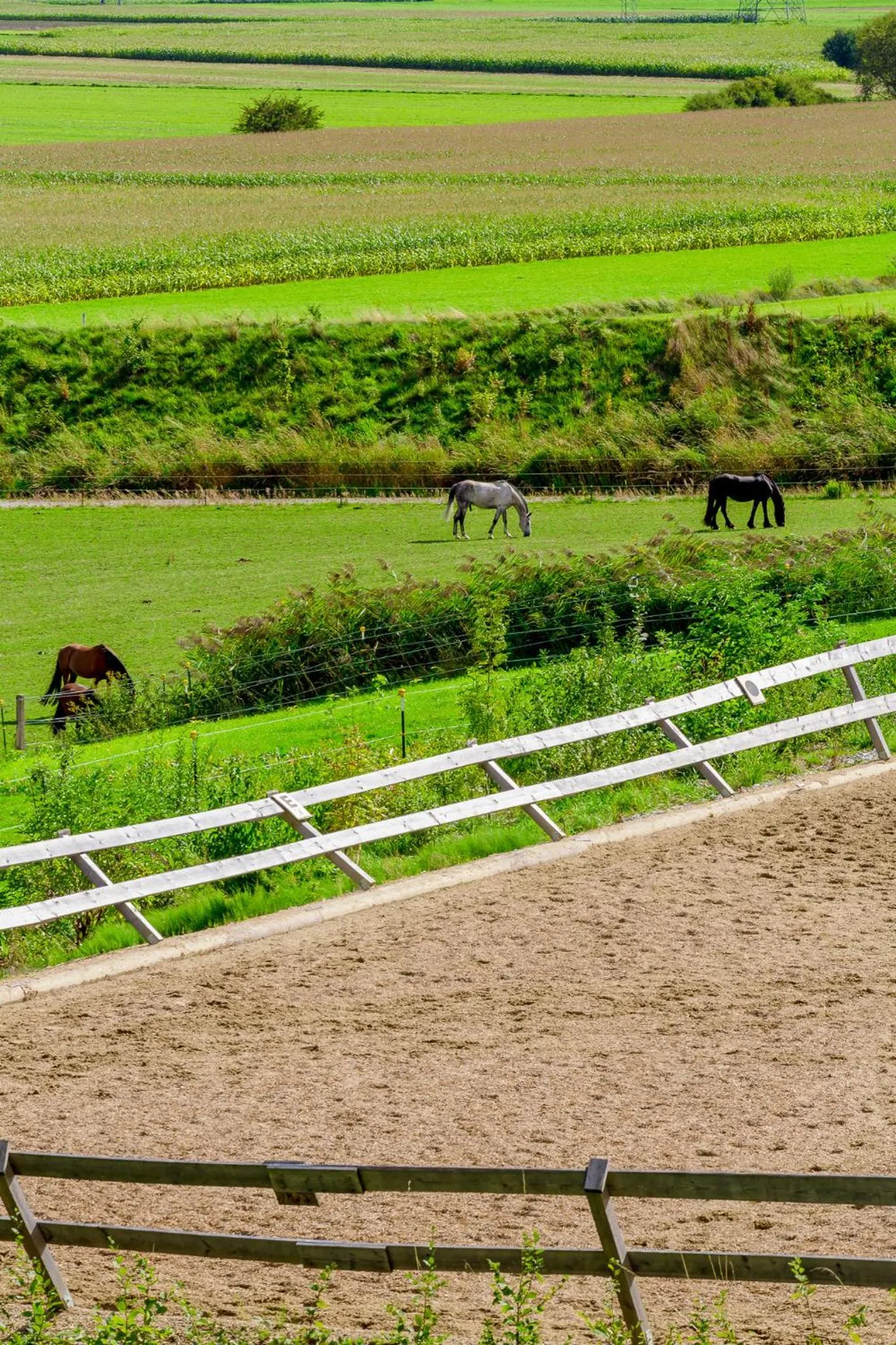 Day in Hotel Parsberg