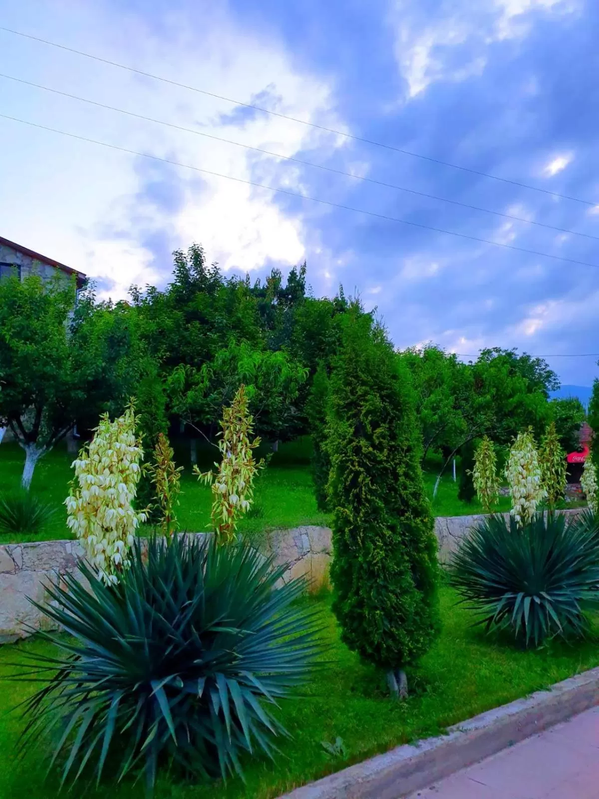 Spring, Garden in Guest house Ijevan's Garden
