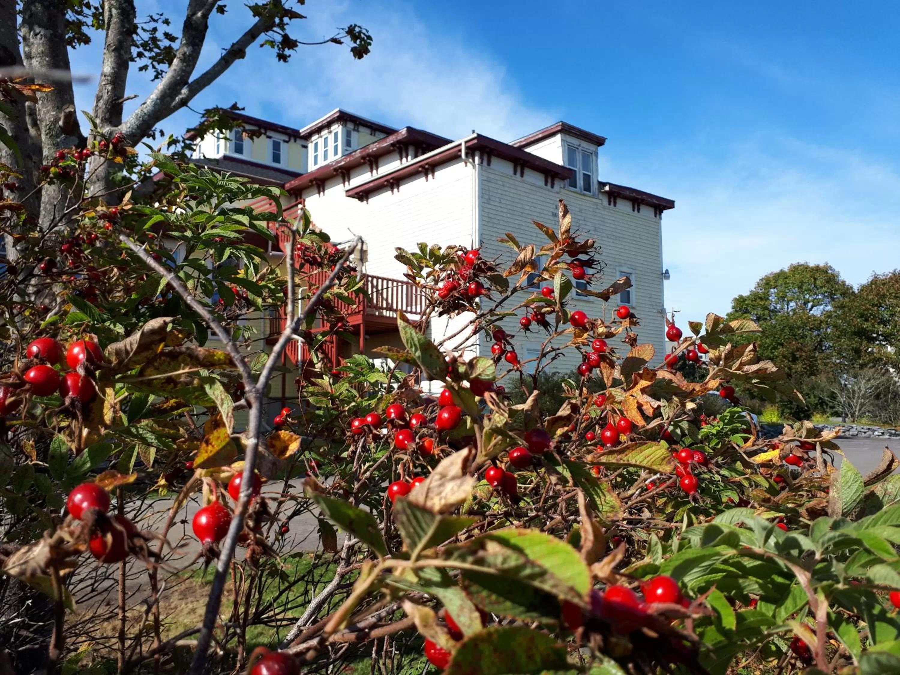 Property building in Homeport Historic B&B