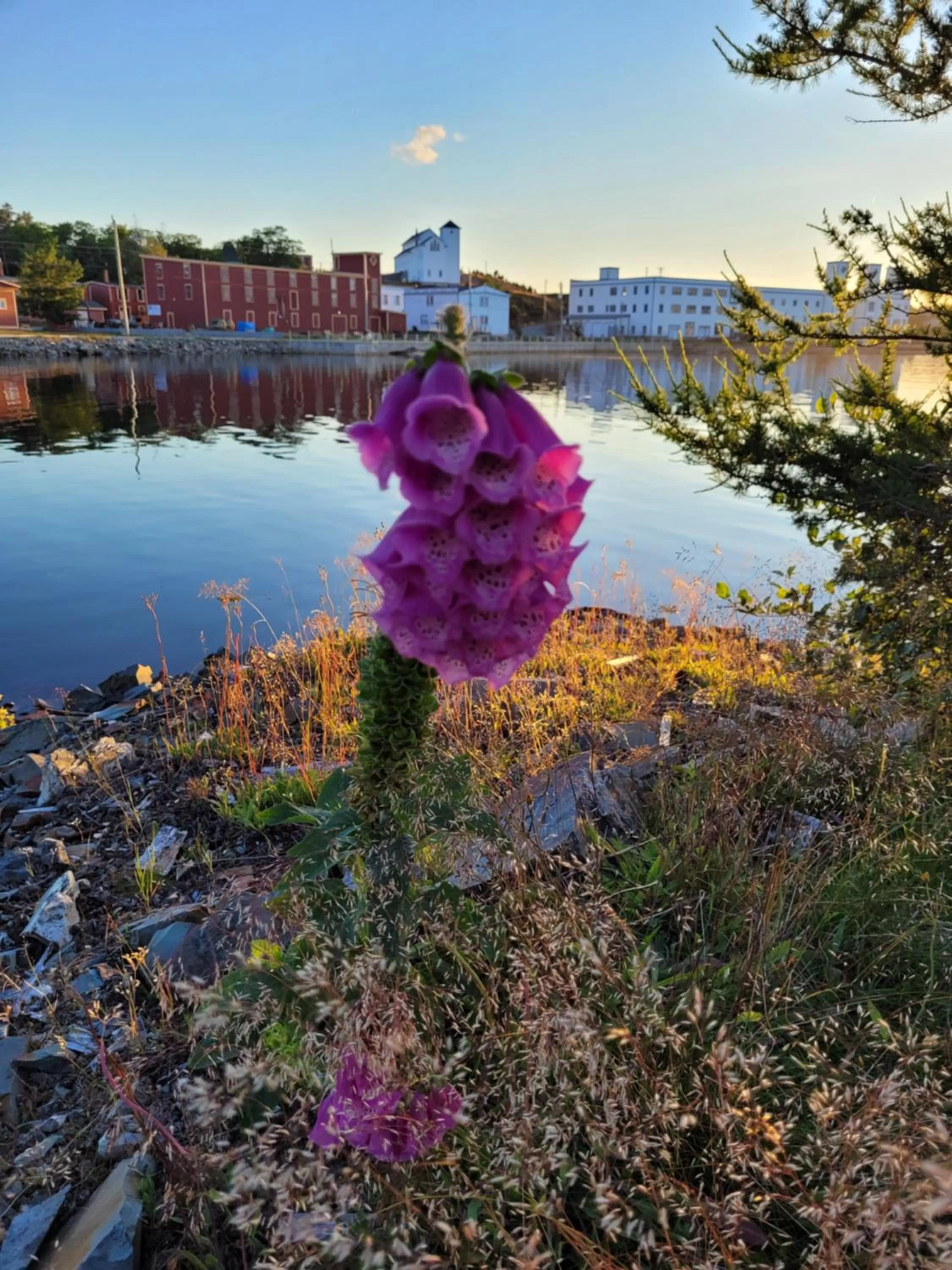Street view in The Harbourside Inn