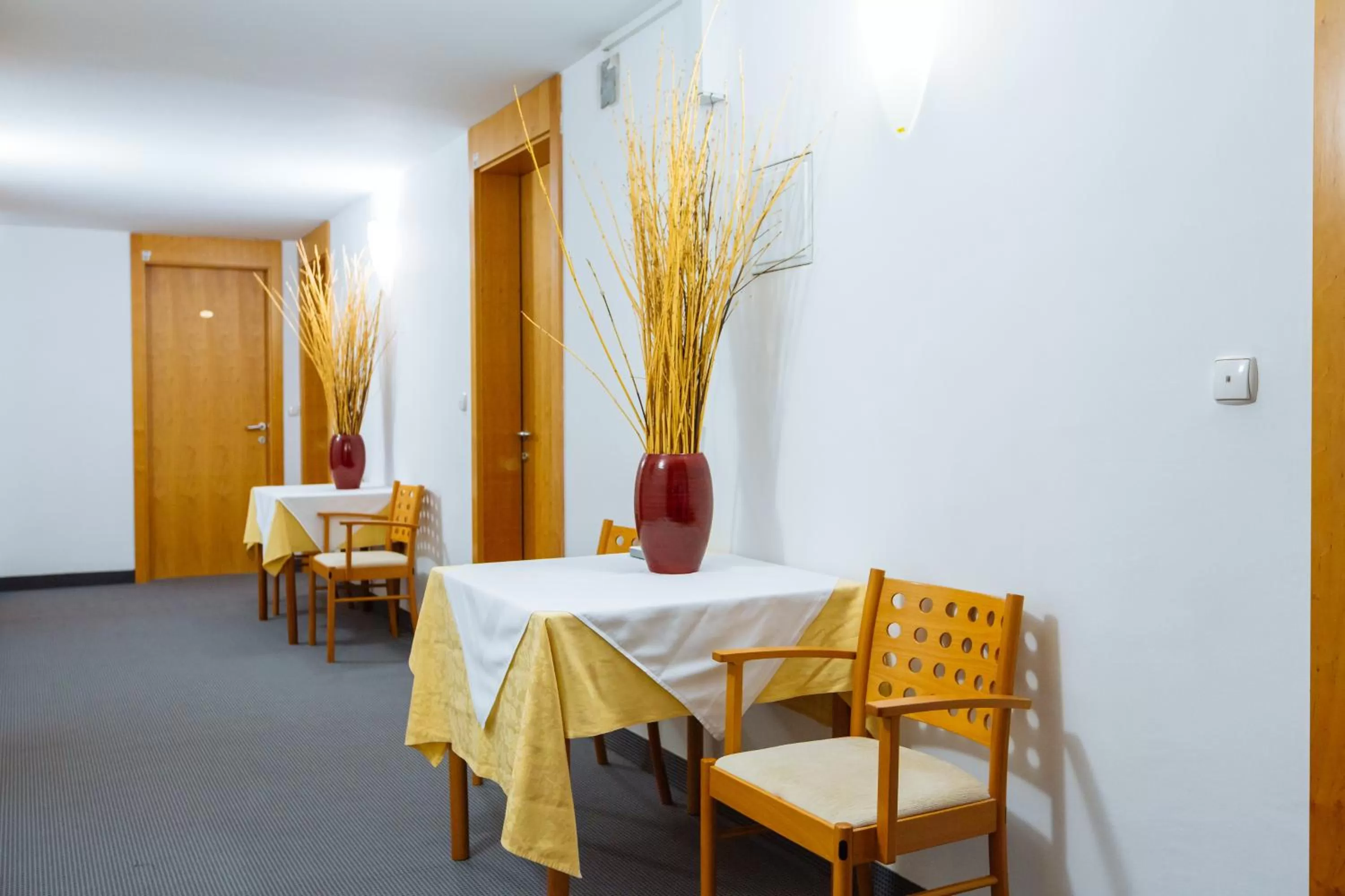 Seating area, Dining Area in Hotel GH Kolinska