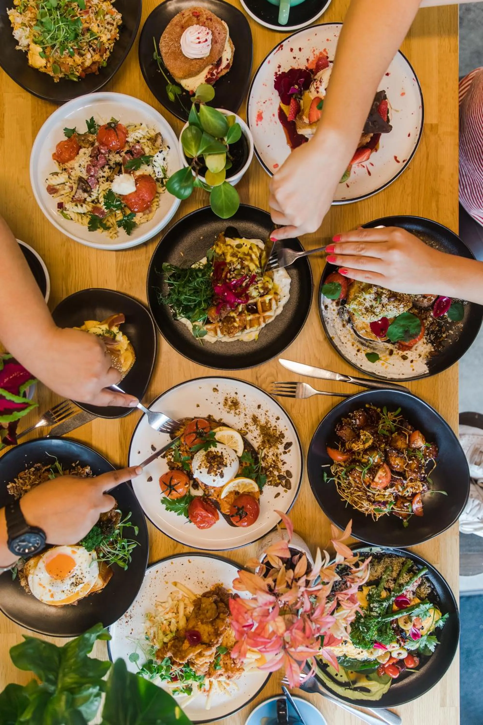 Neighbourhood in La Quinta by Wyndham Ellerslie Auckland