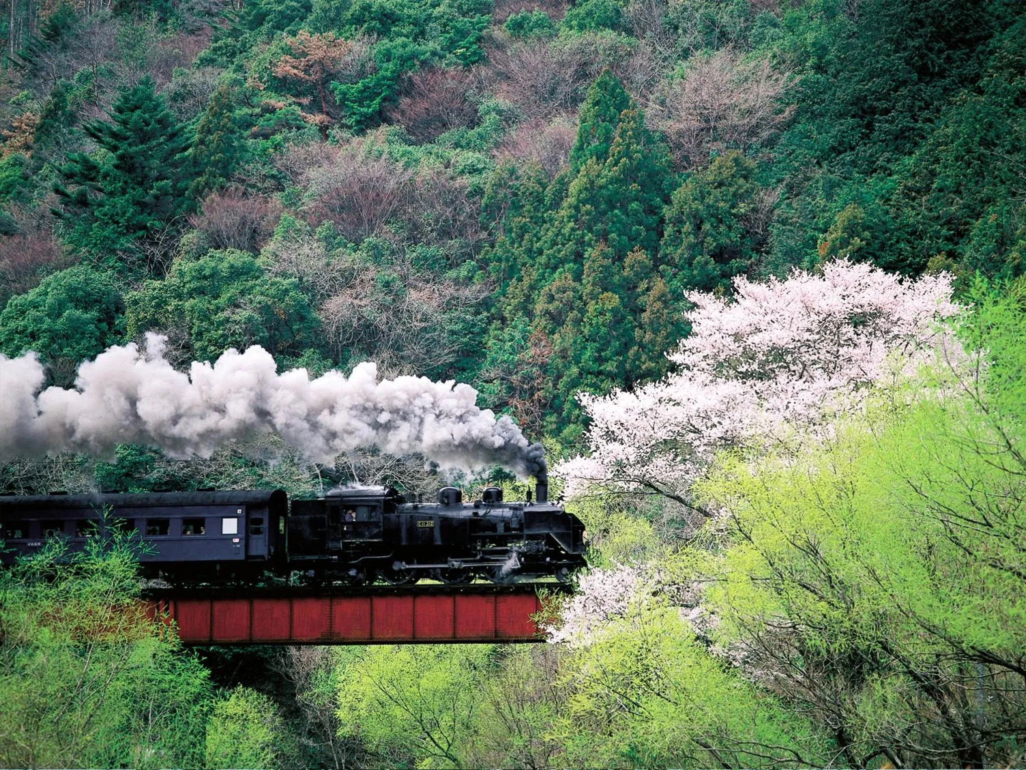 Nearby landmark in Suikoen