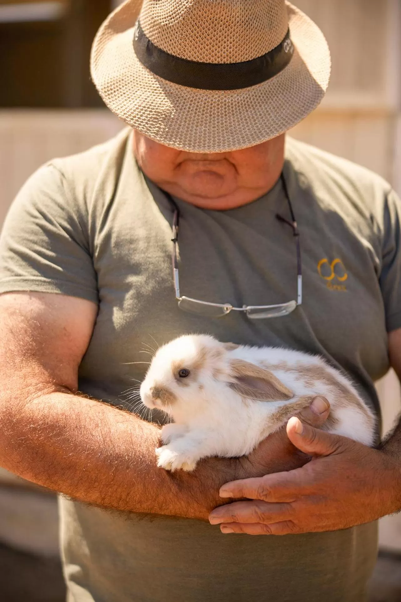 Animals in Octant Evora