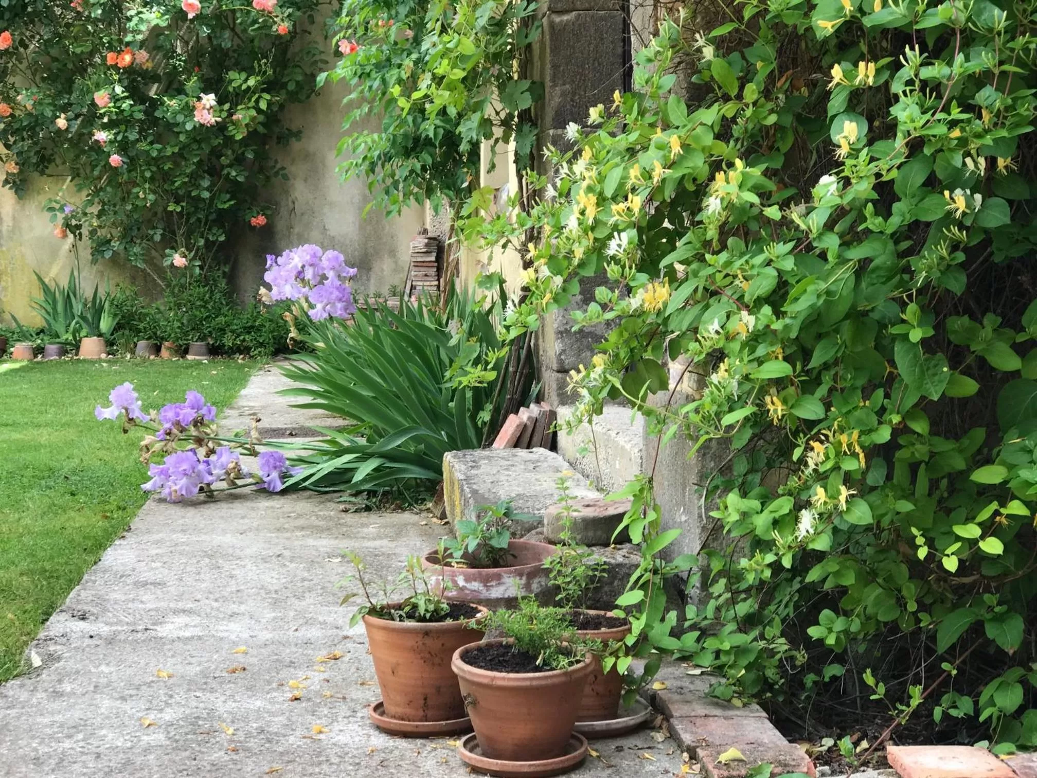 Property building in La maison Jeanne d'Arc