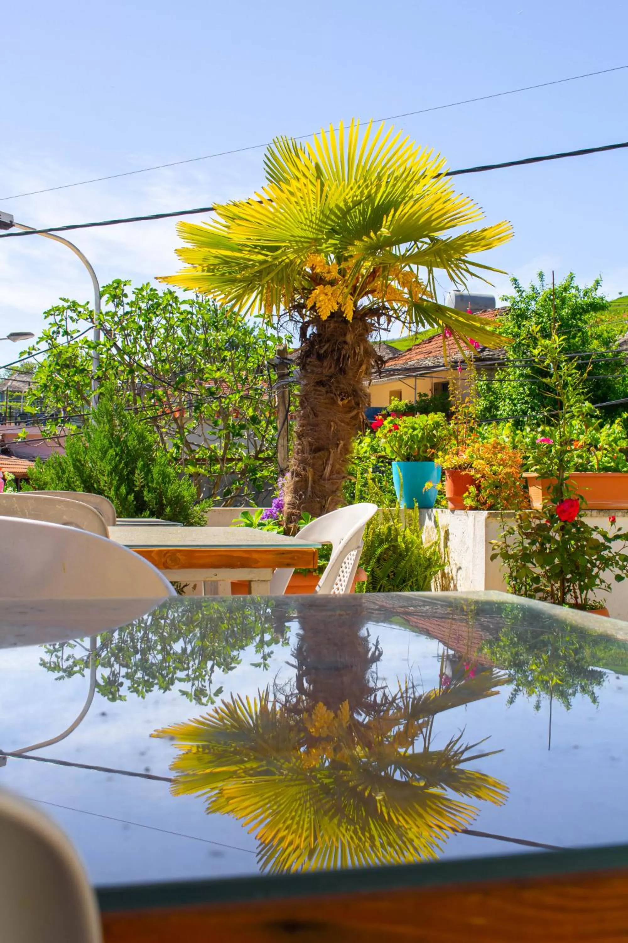 Swimming Pool in Hotel Bebej Tradicional