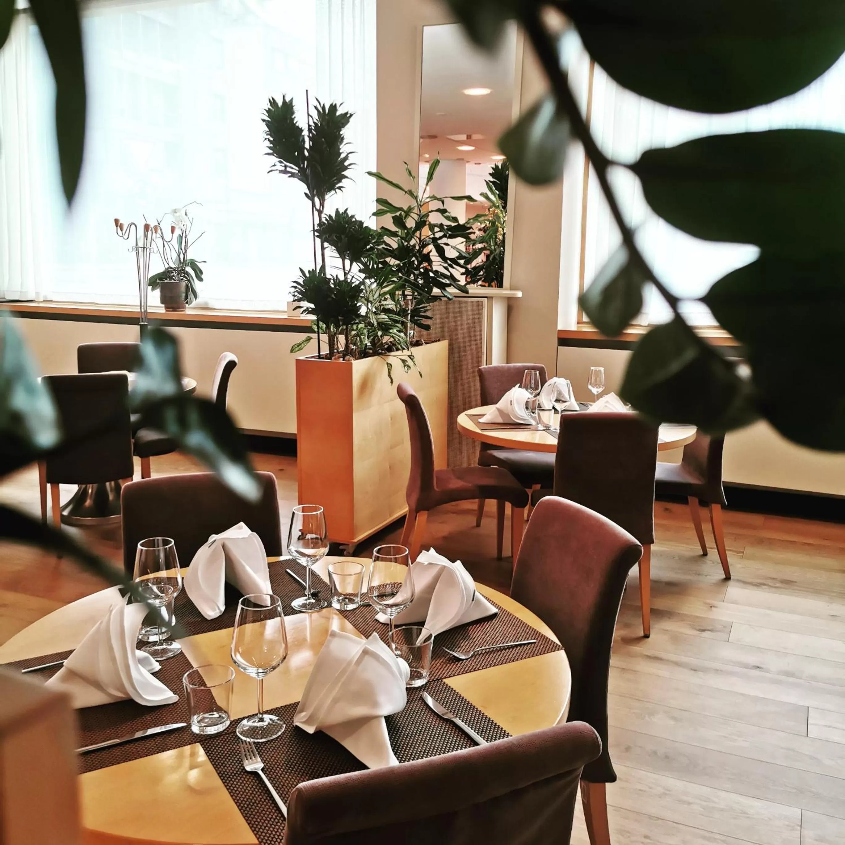 Restaurant/places to eat in City Hotel Ljubljana
