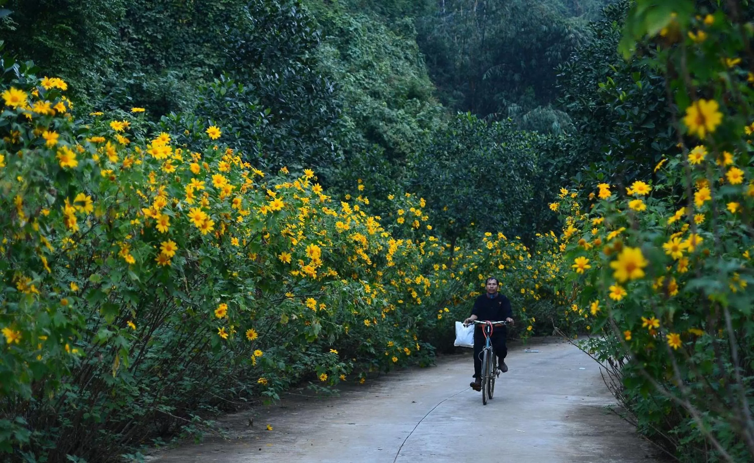 Natural landscape in Thung Nham Resort